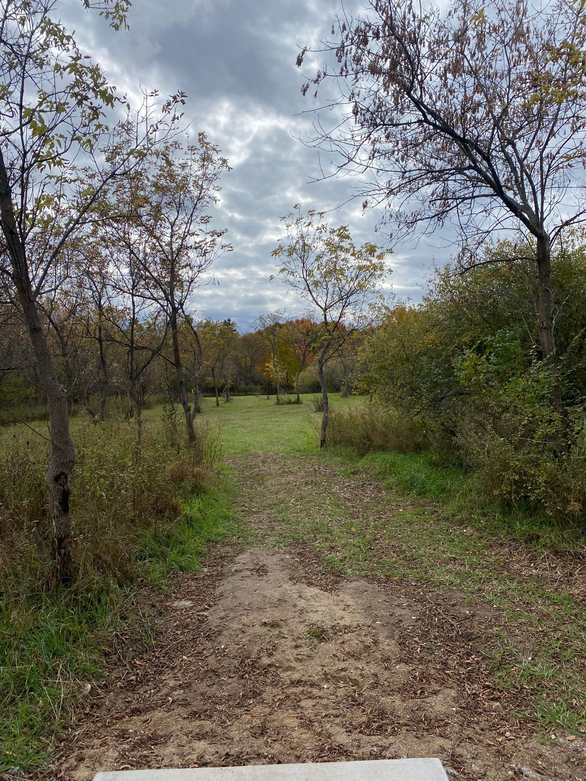 Hole 13 fairway. Want to throw straight down hill. Basket ahead right