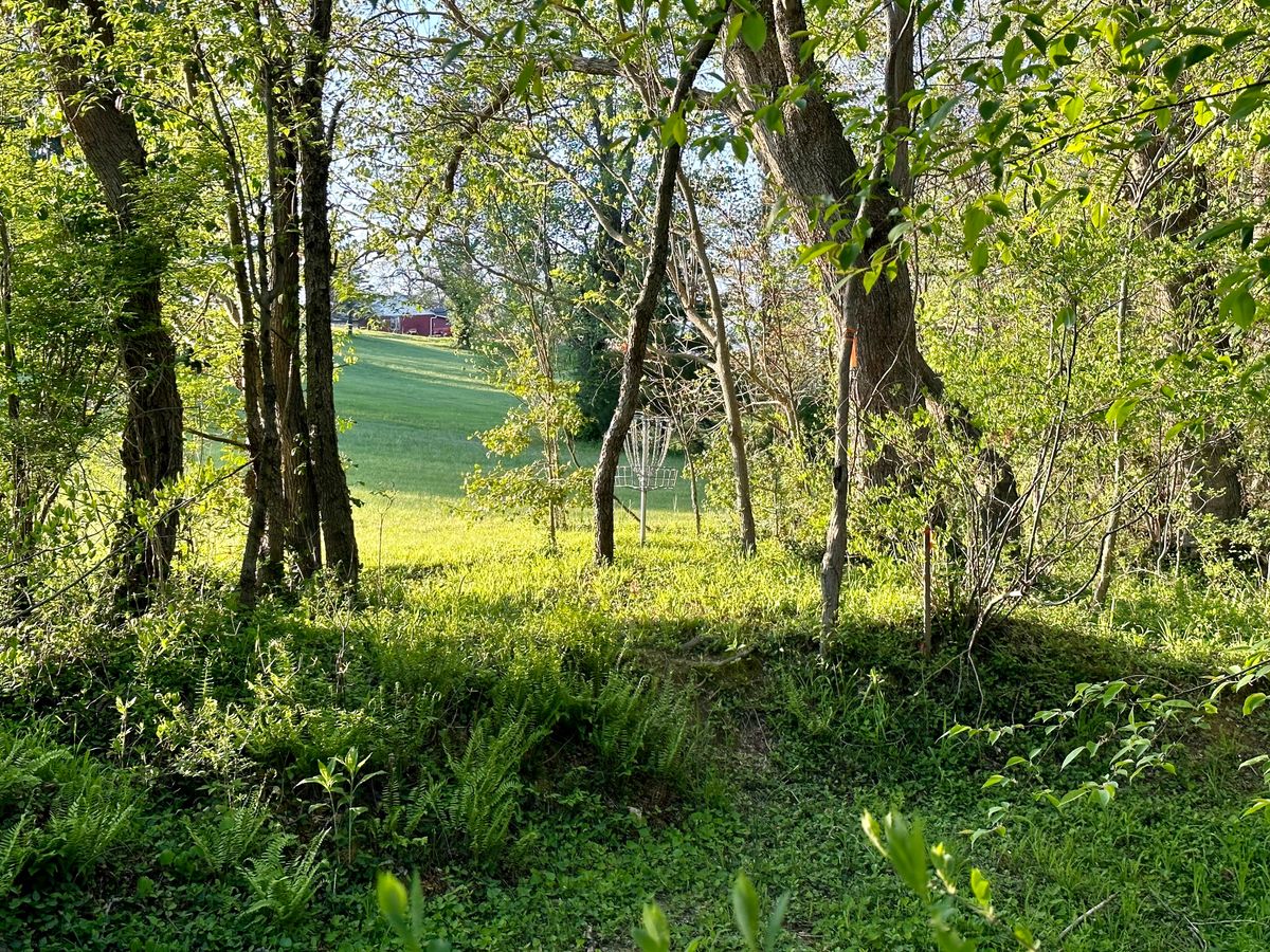 Hole 7 basket from OB at circle 2.