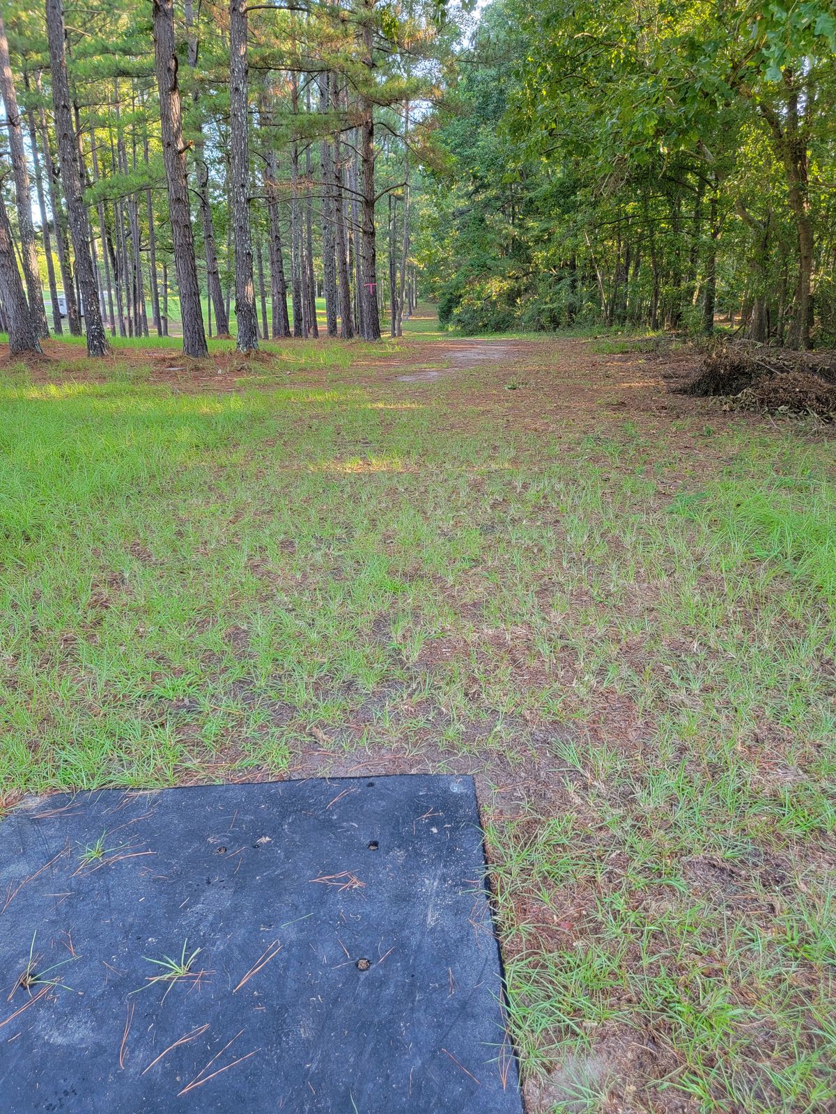 hole 6...straight ahead