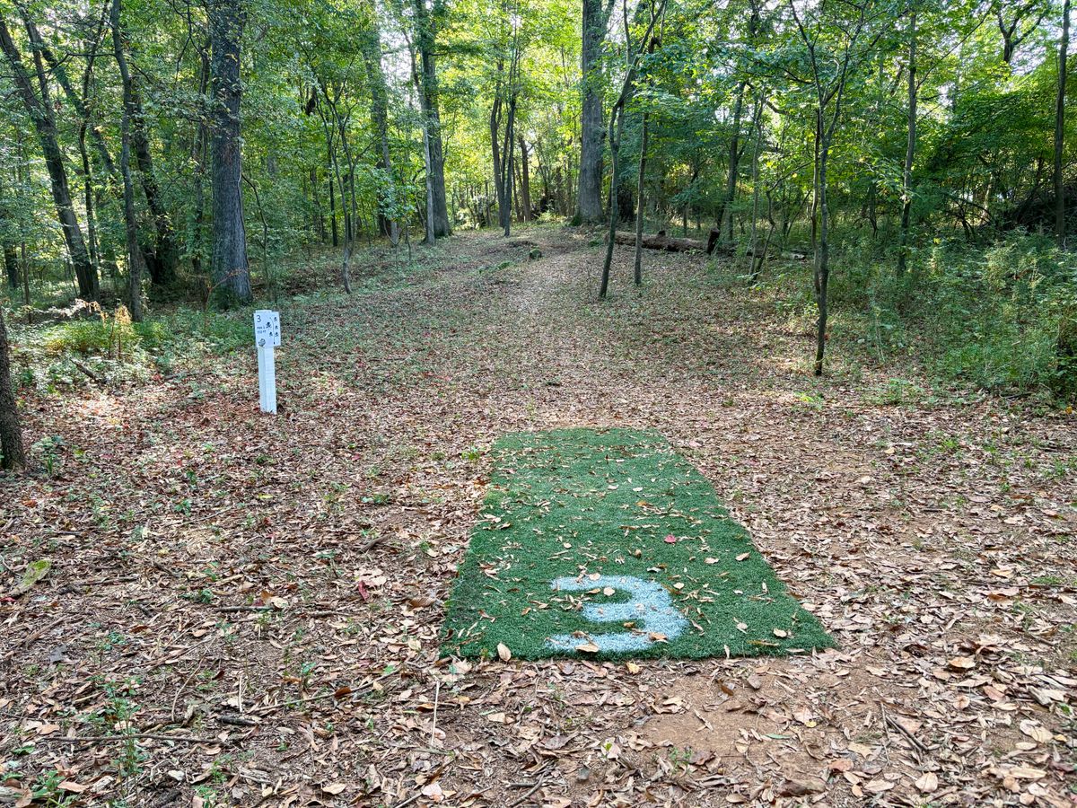 Hole 3 tee