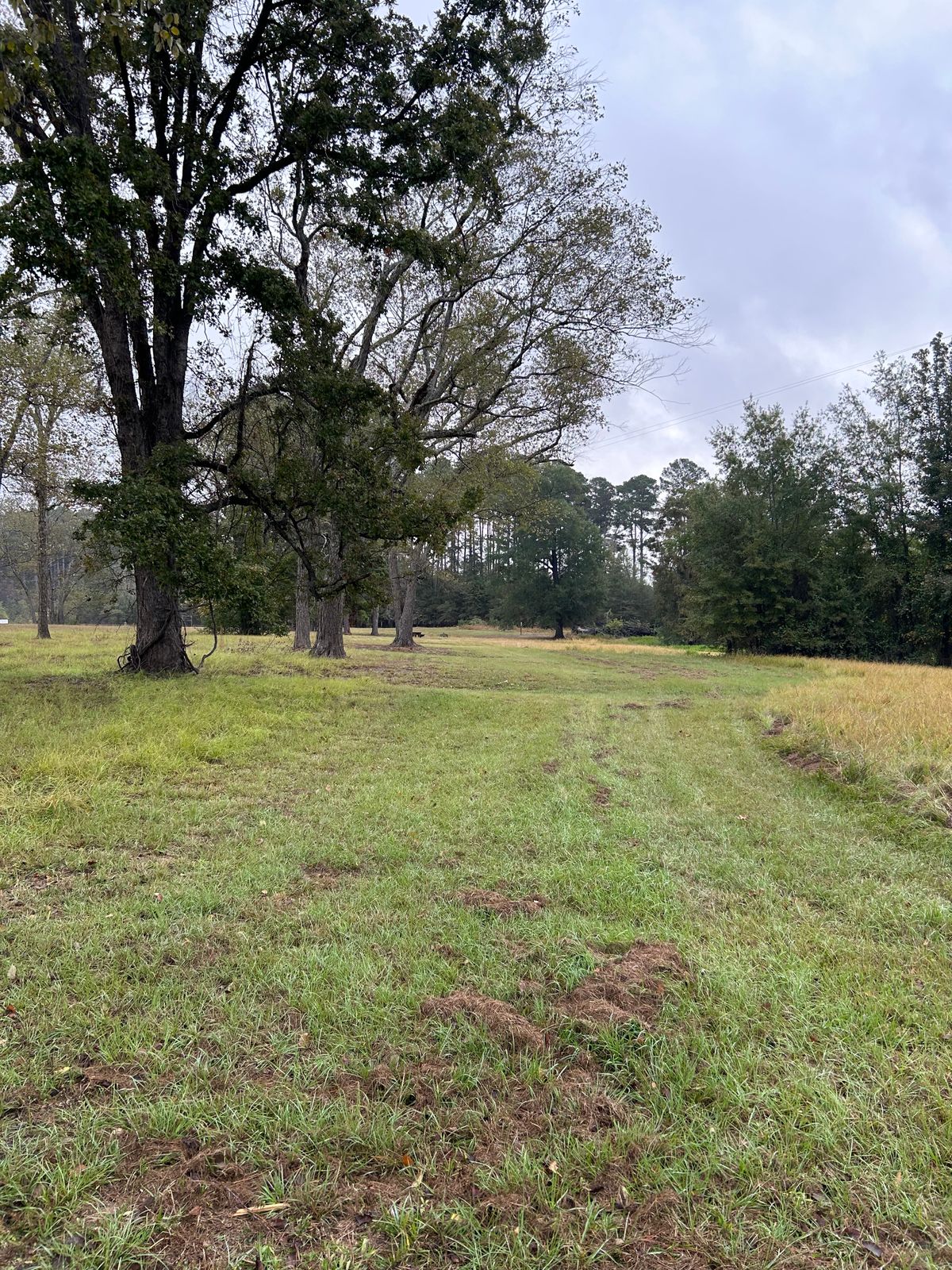 Hole 12 tee shot