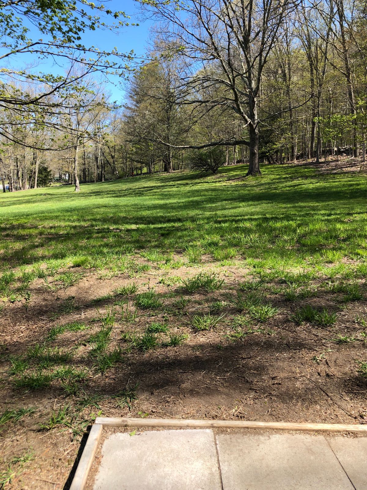Hole 9: Basket behind middle bush