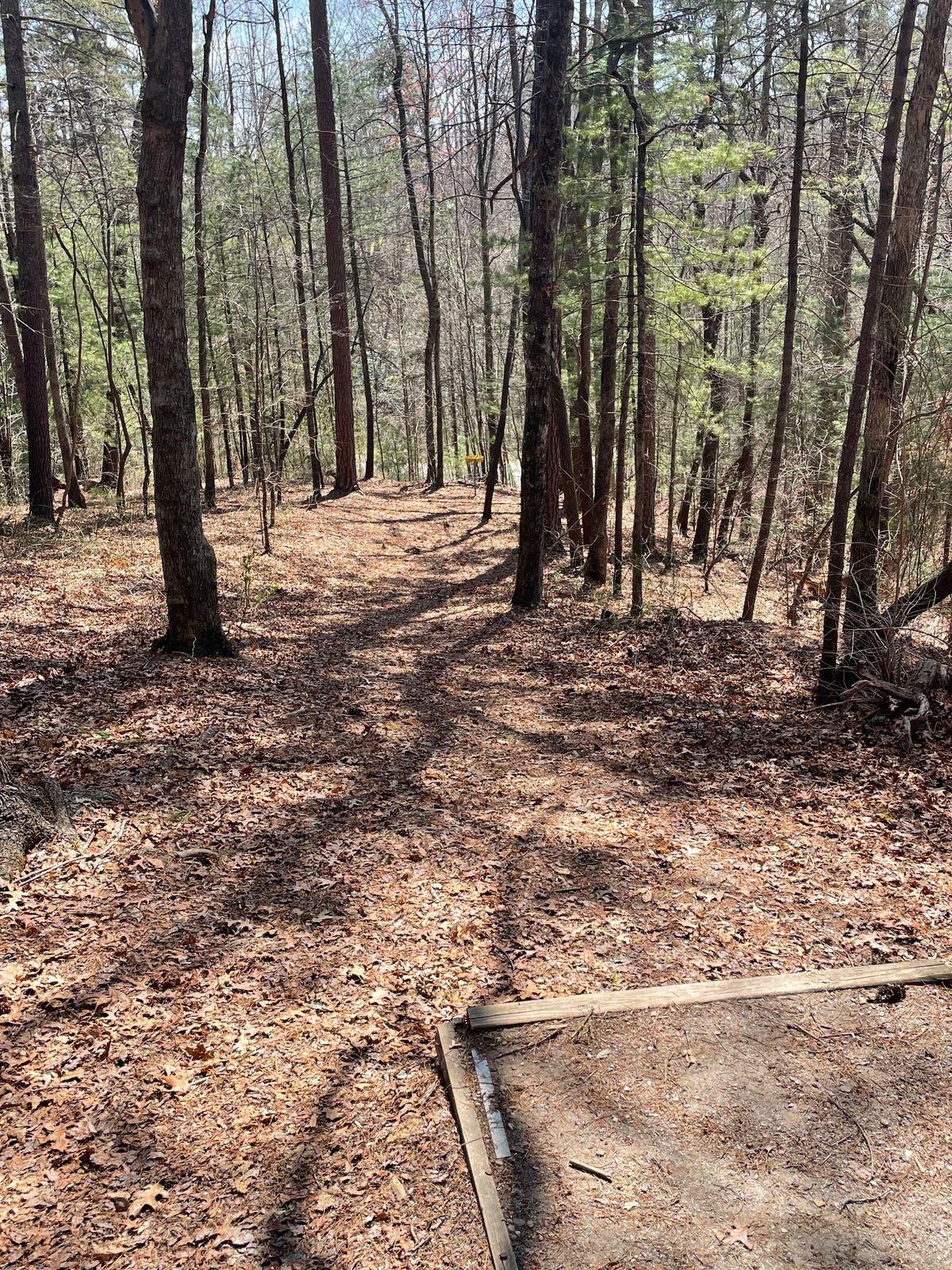 Hole 6 tee pad. Basket is down hill to the right a little