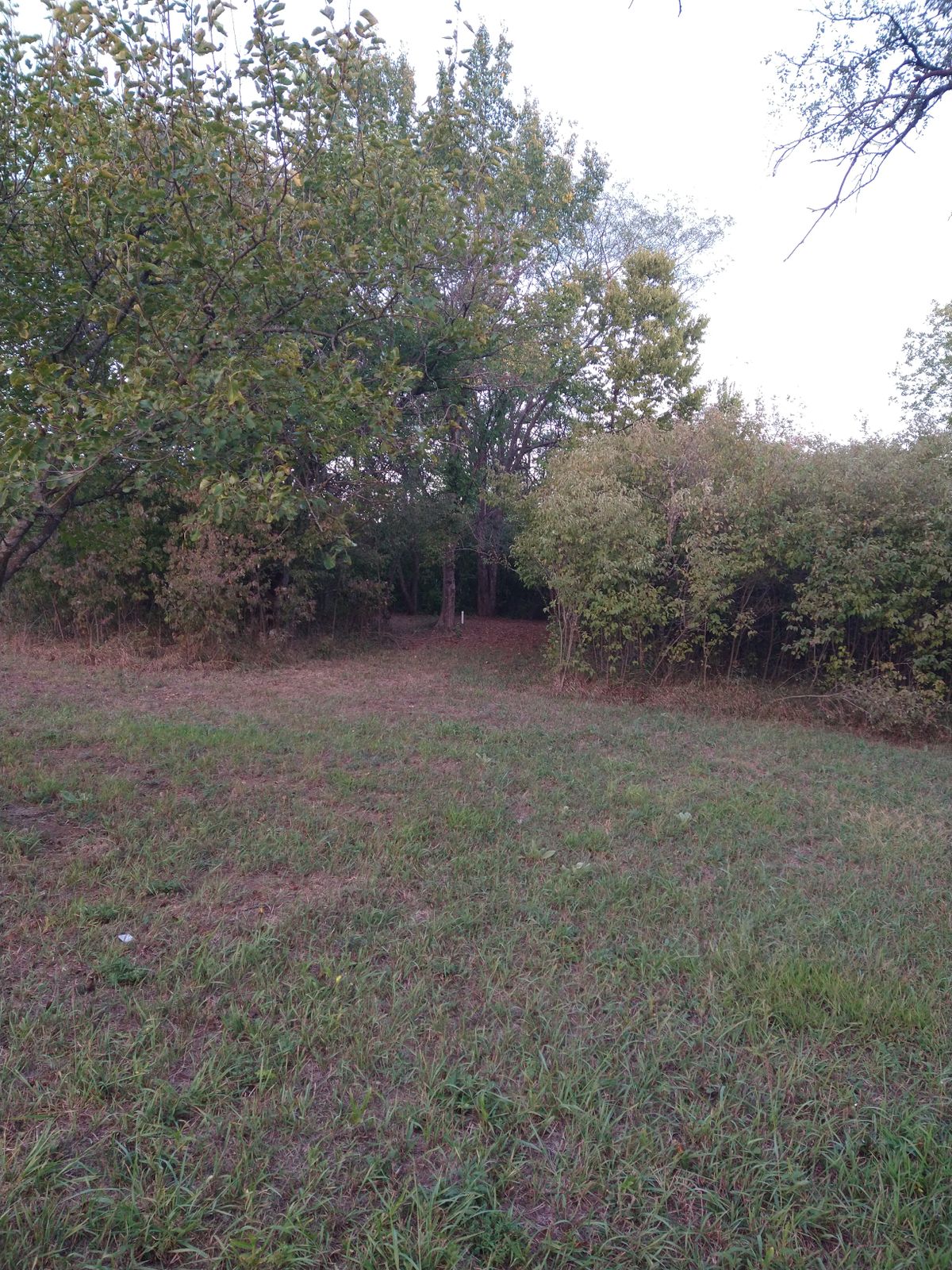 Alt B location is in the trees past the mound.