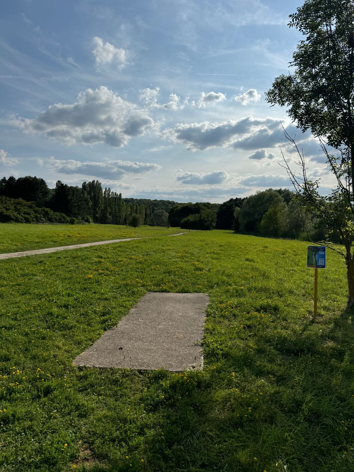 hole 12 tee