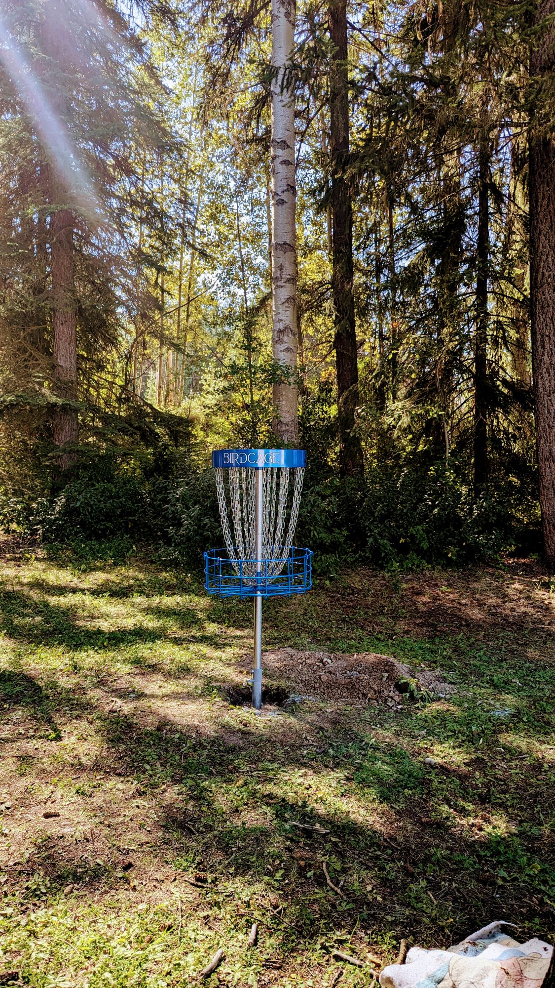 Birdcage baskets are in.