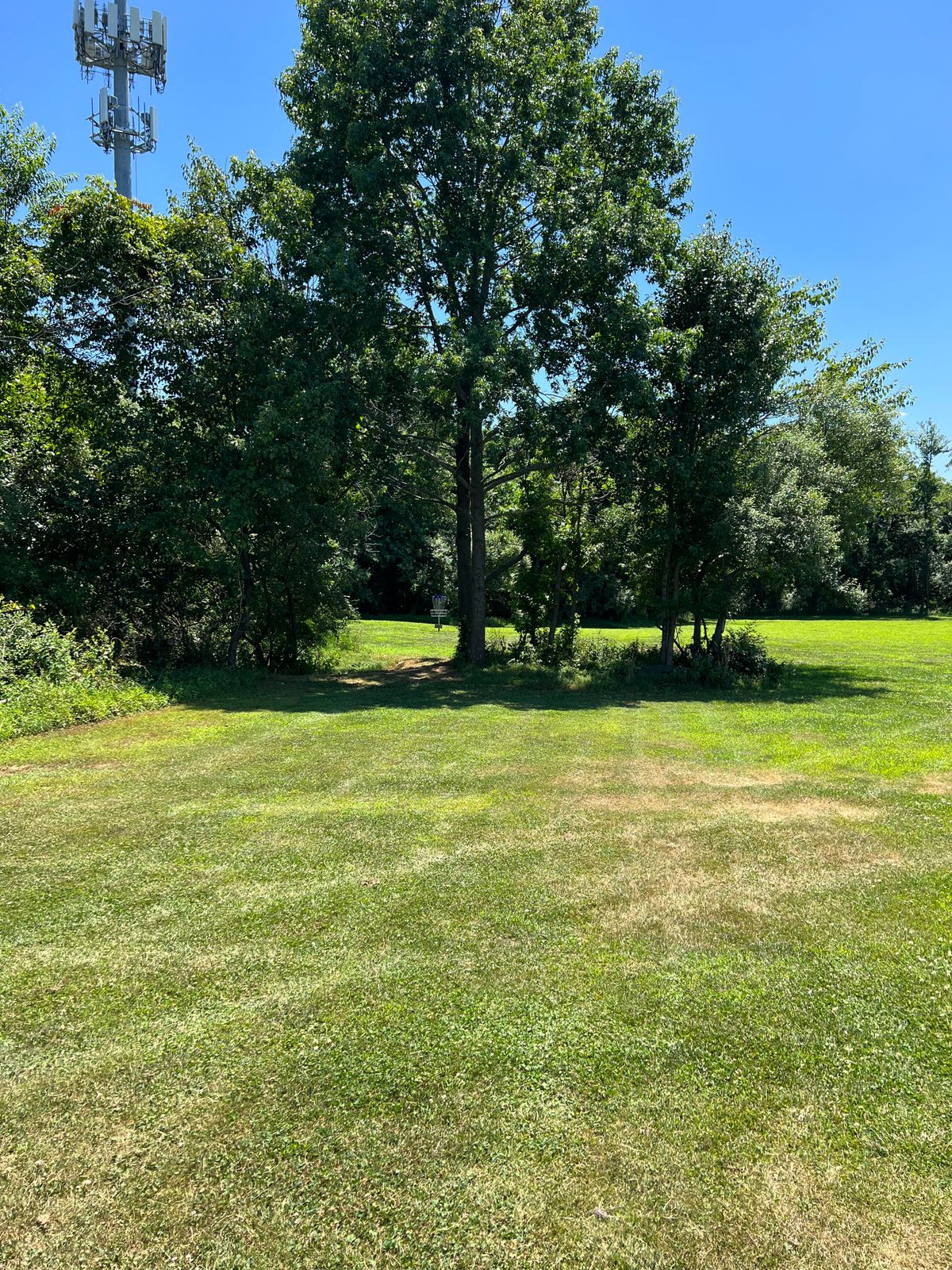 Hole 7