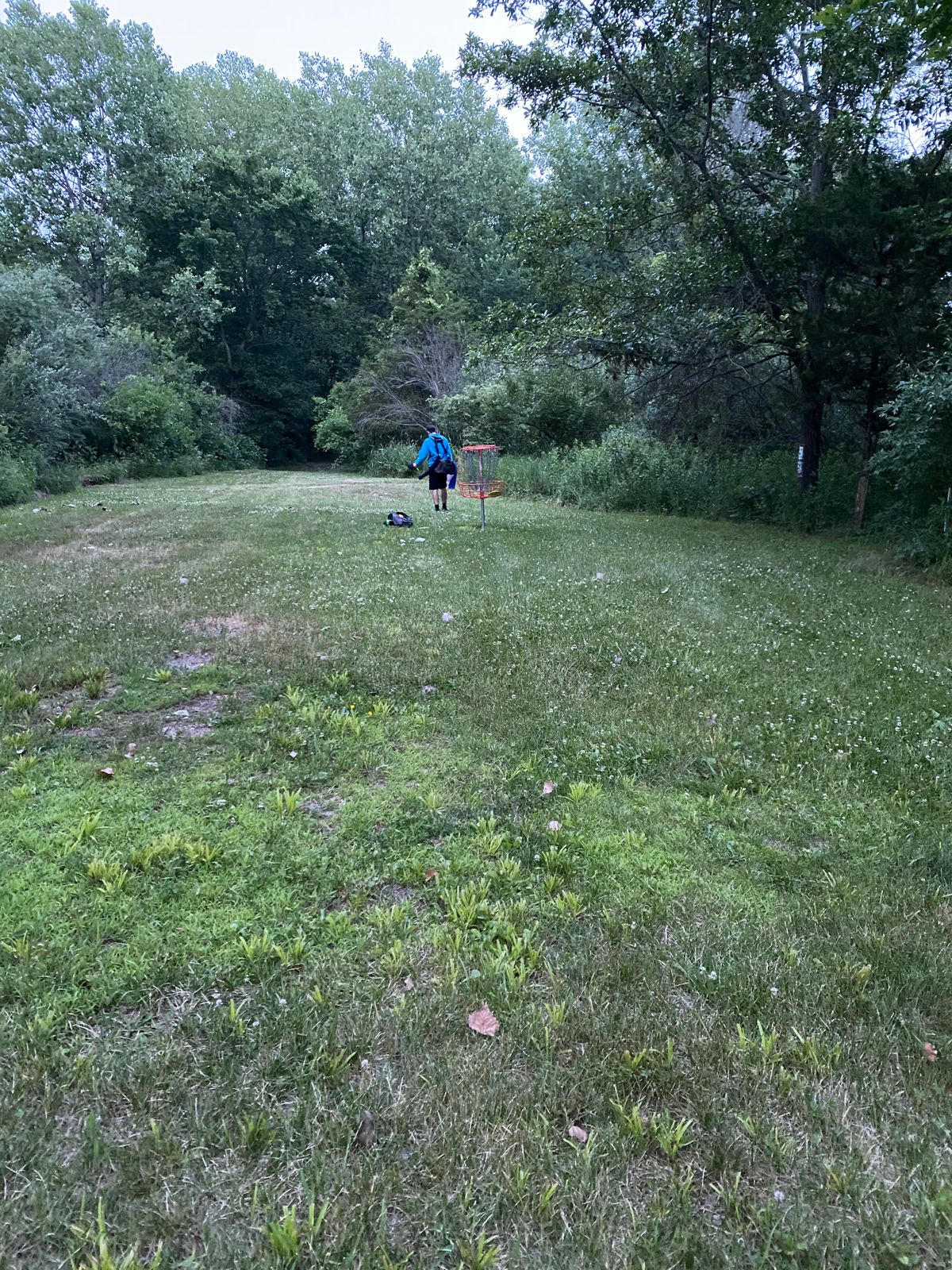 Hole 15 basket
