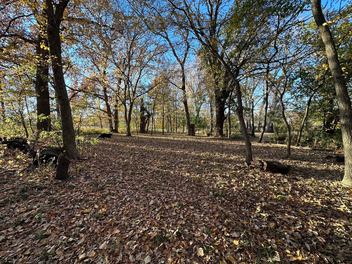 Hole 10 long green
