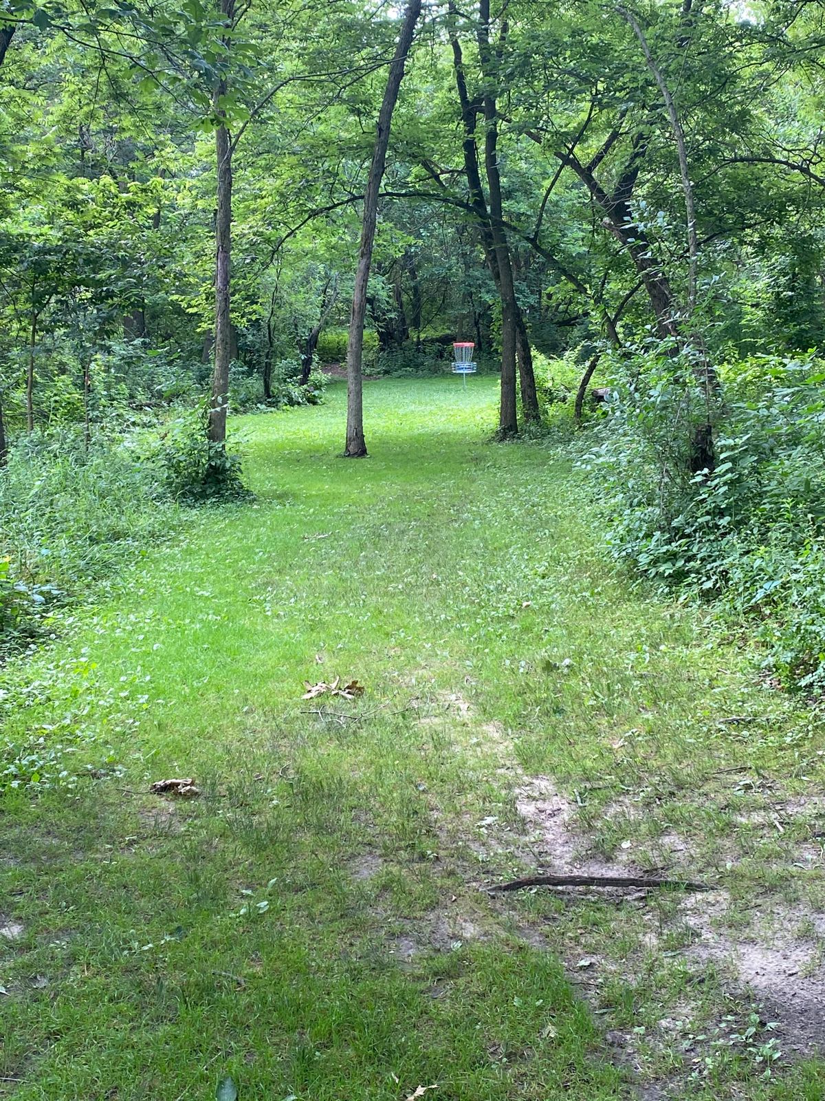 8 East Red basket from mid fairway