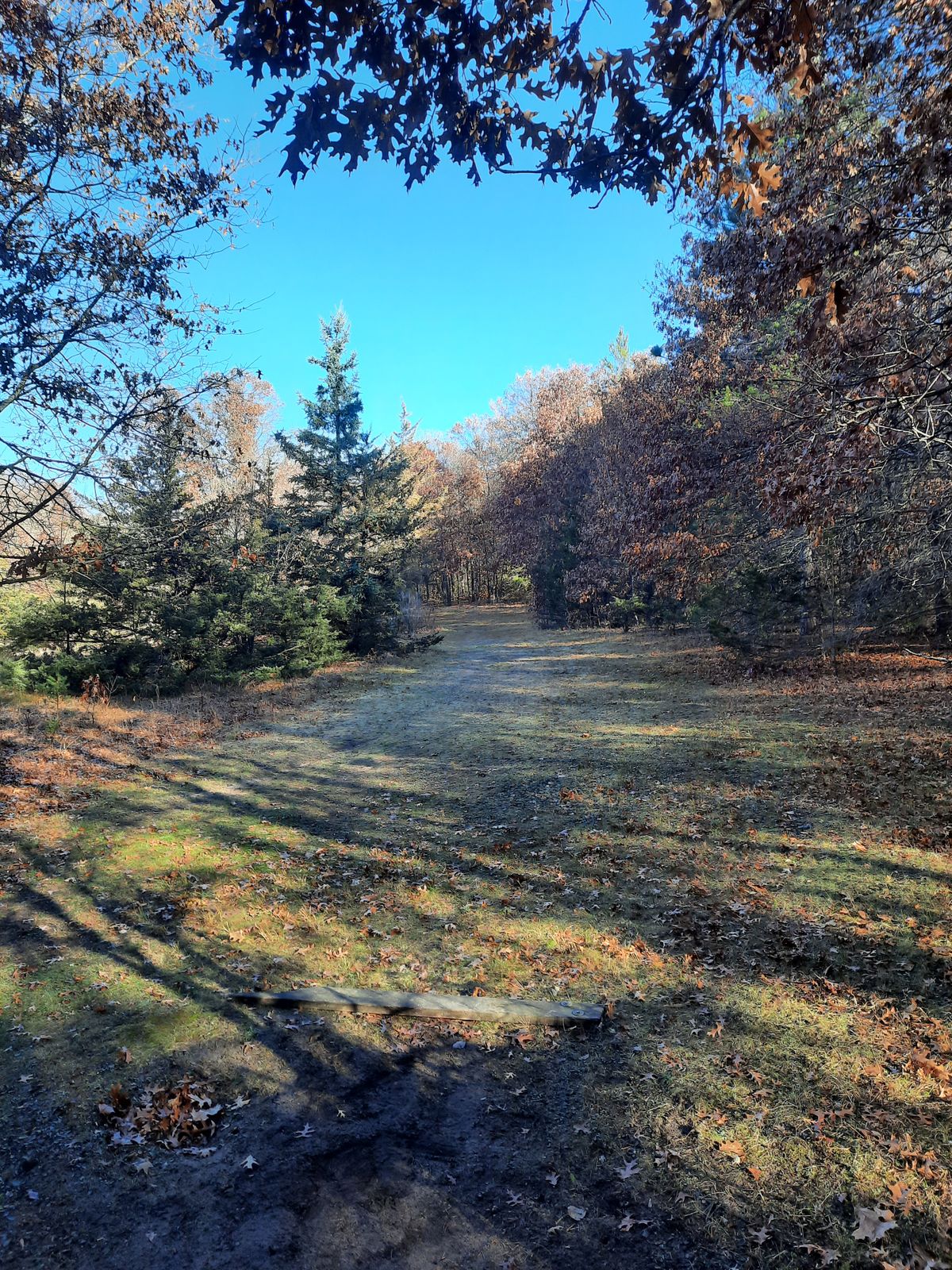 Hole 3