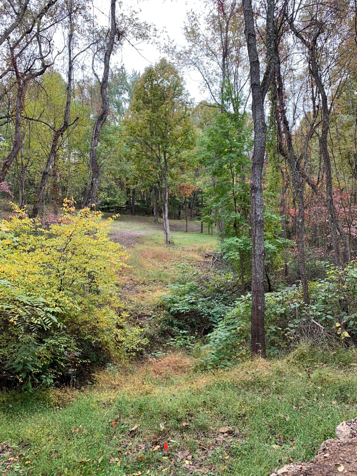 Tee box for hole 2