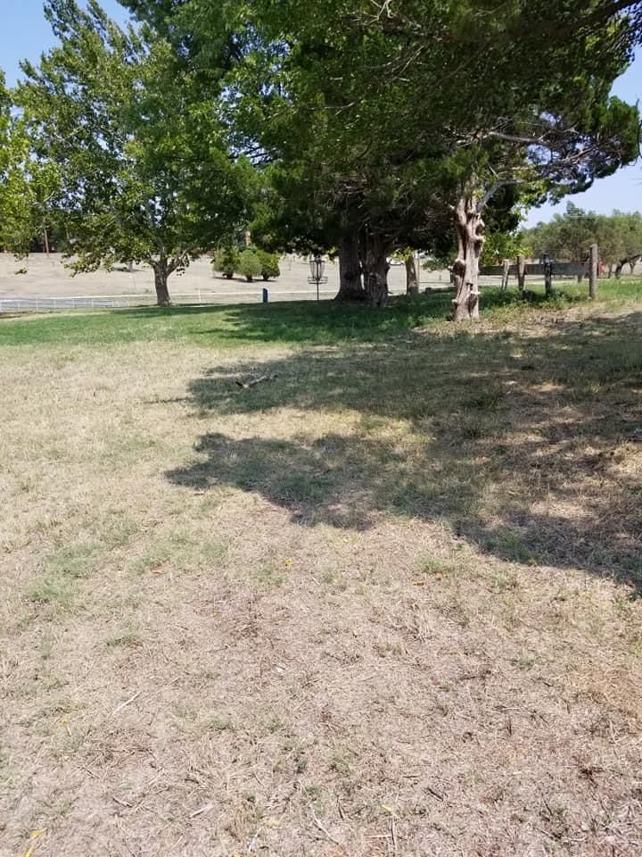 Hole 9 blind from tee box, Aim for the end of the tree row.