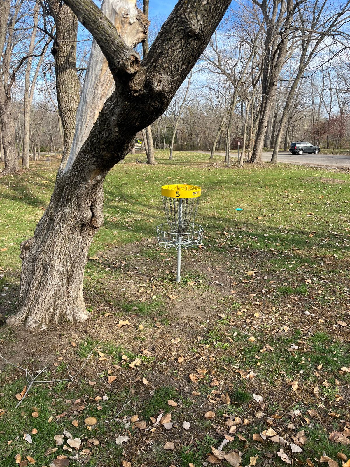 Hole 5 Basket