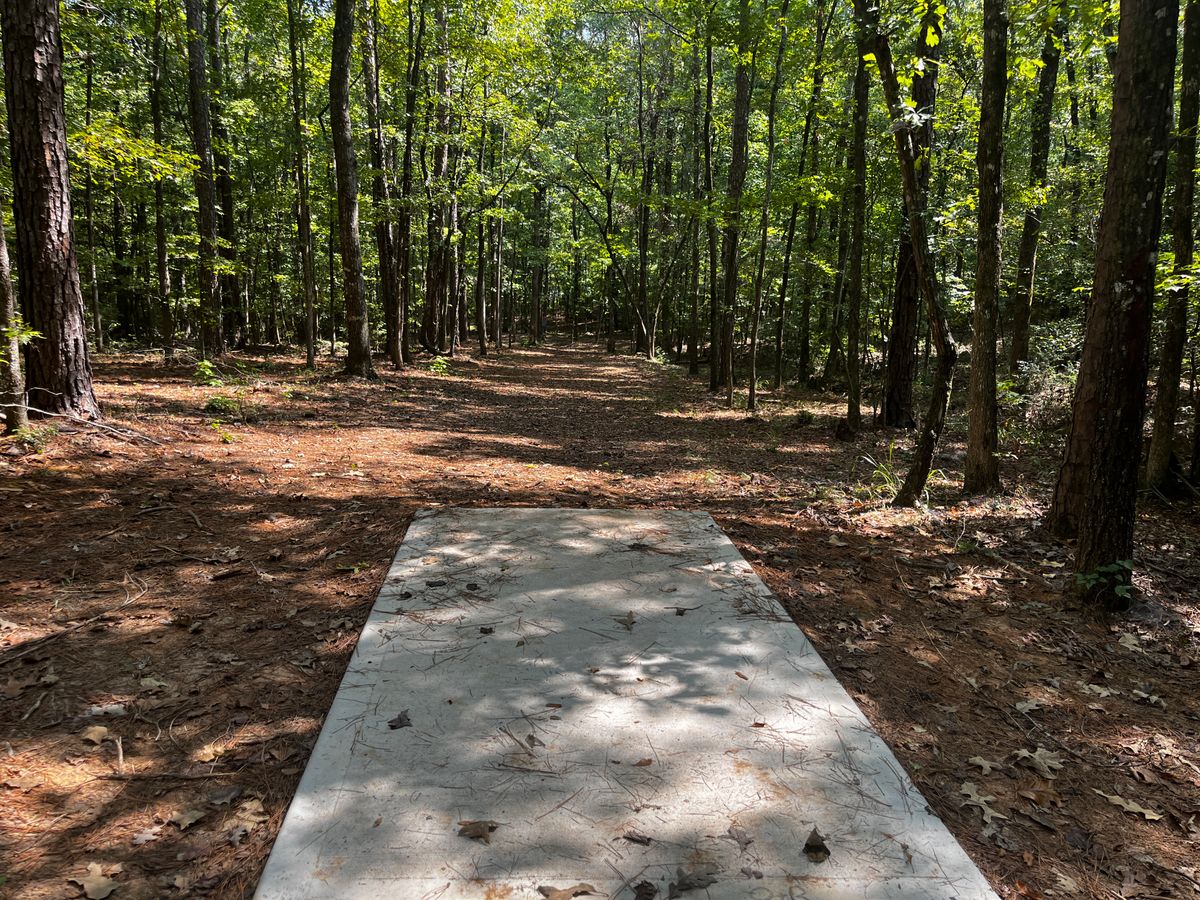 Hole 11 tee box