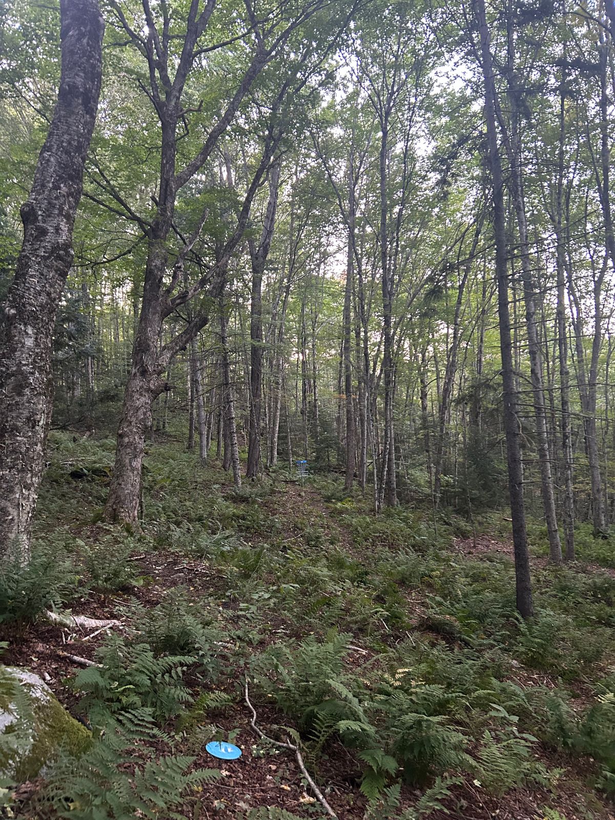 Hole 18 green