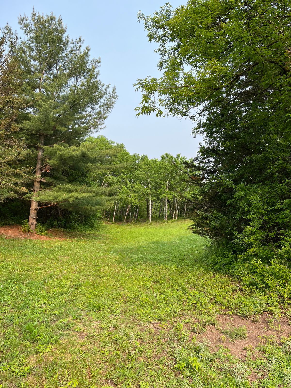 Looking back towards 6’s tee