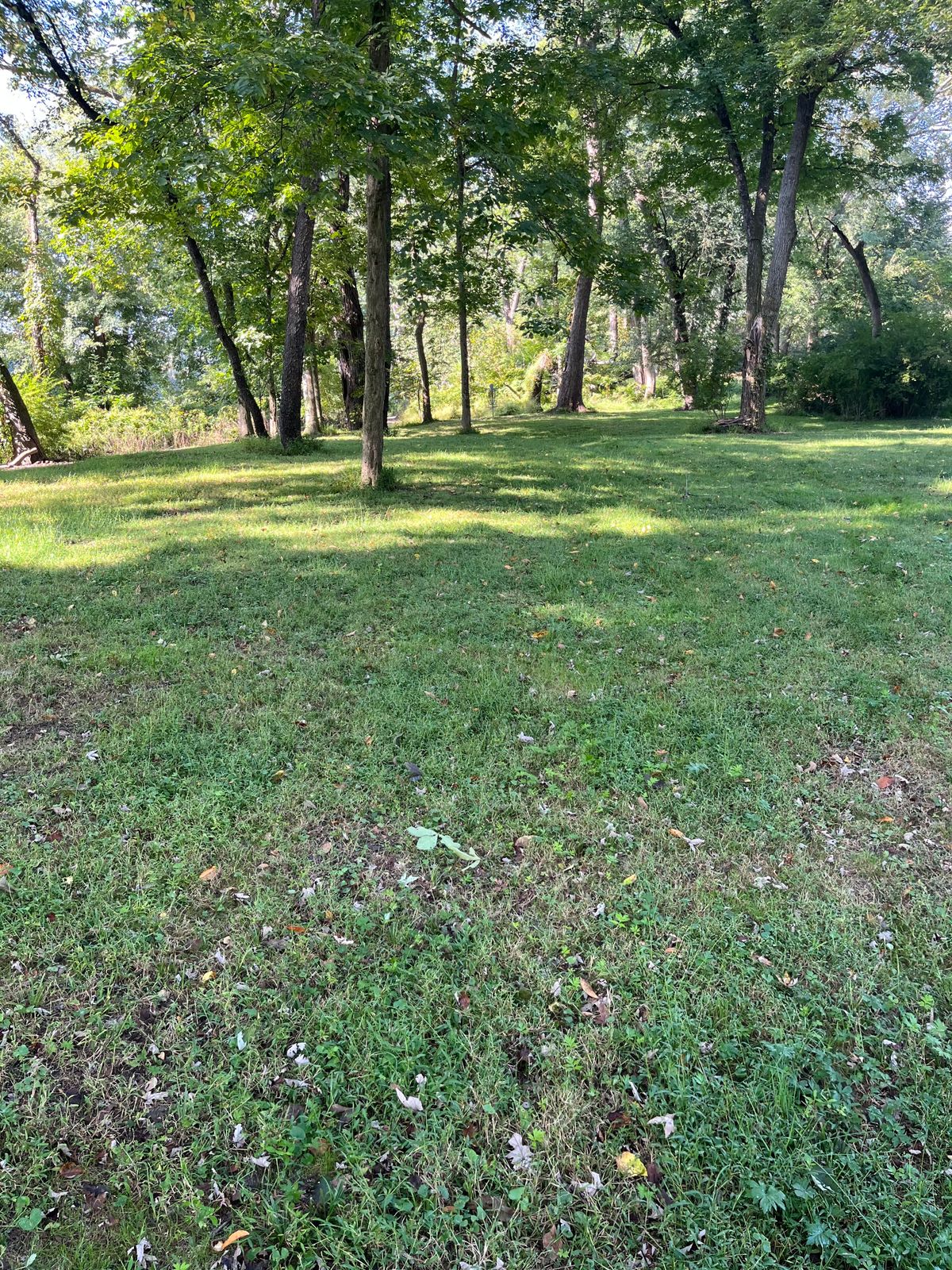 Hole 8 fairway