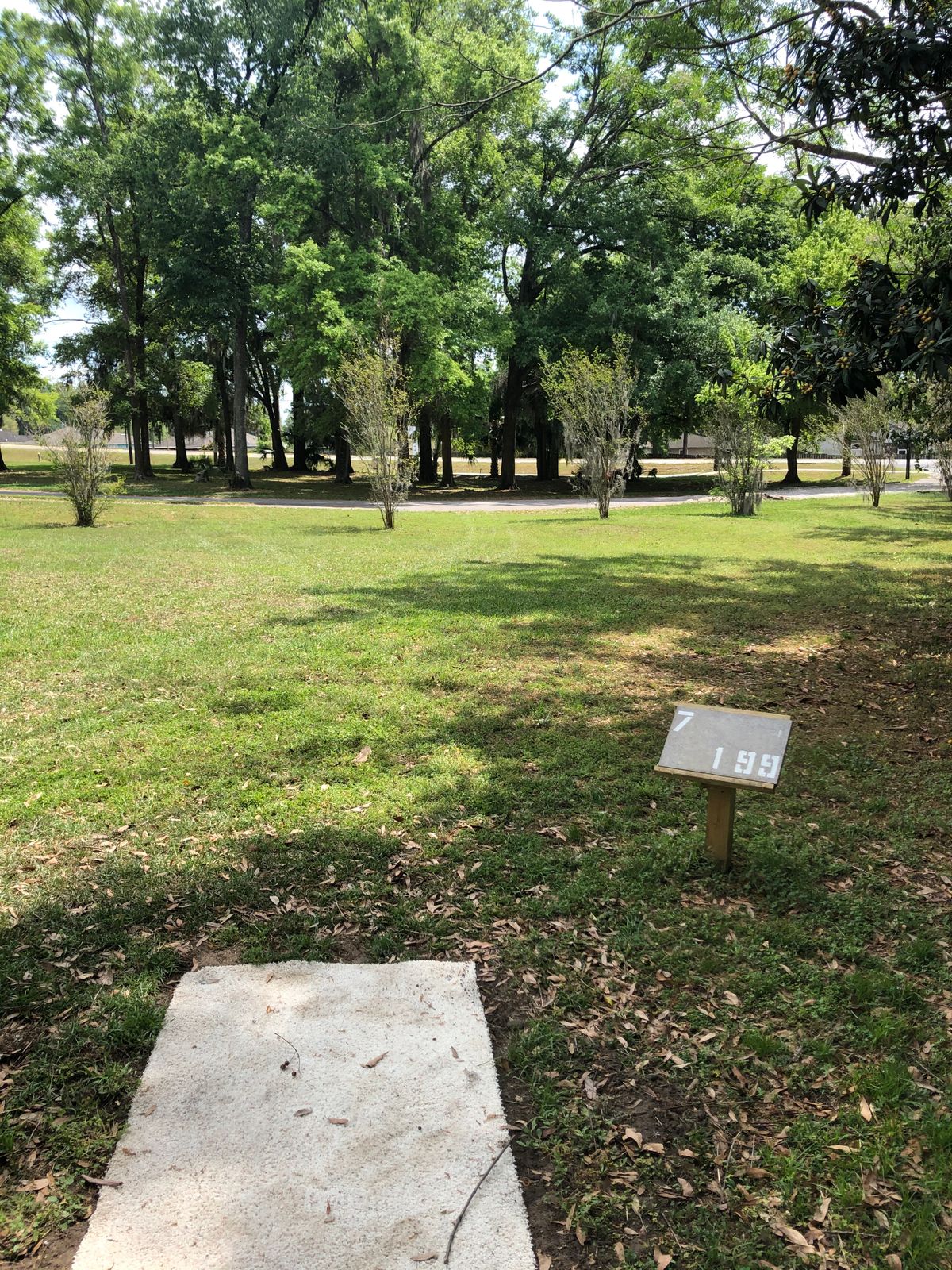 Hole 7, tee to basket