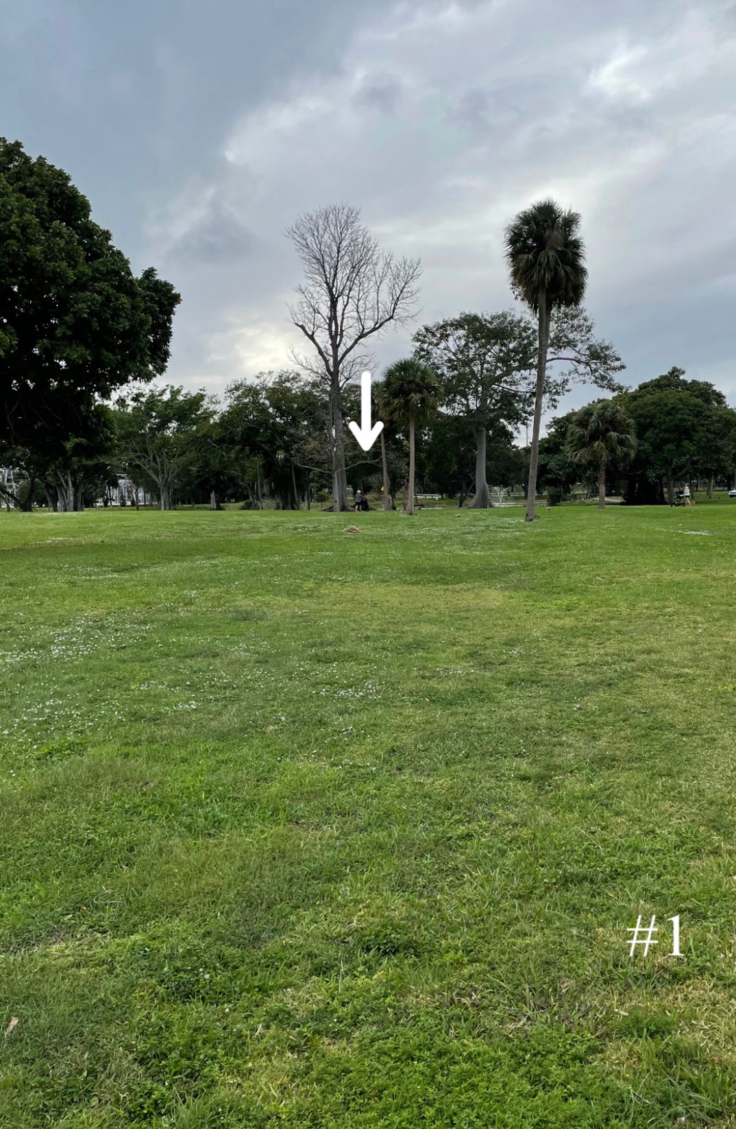 Hole 1, Long Tee