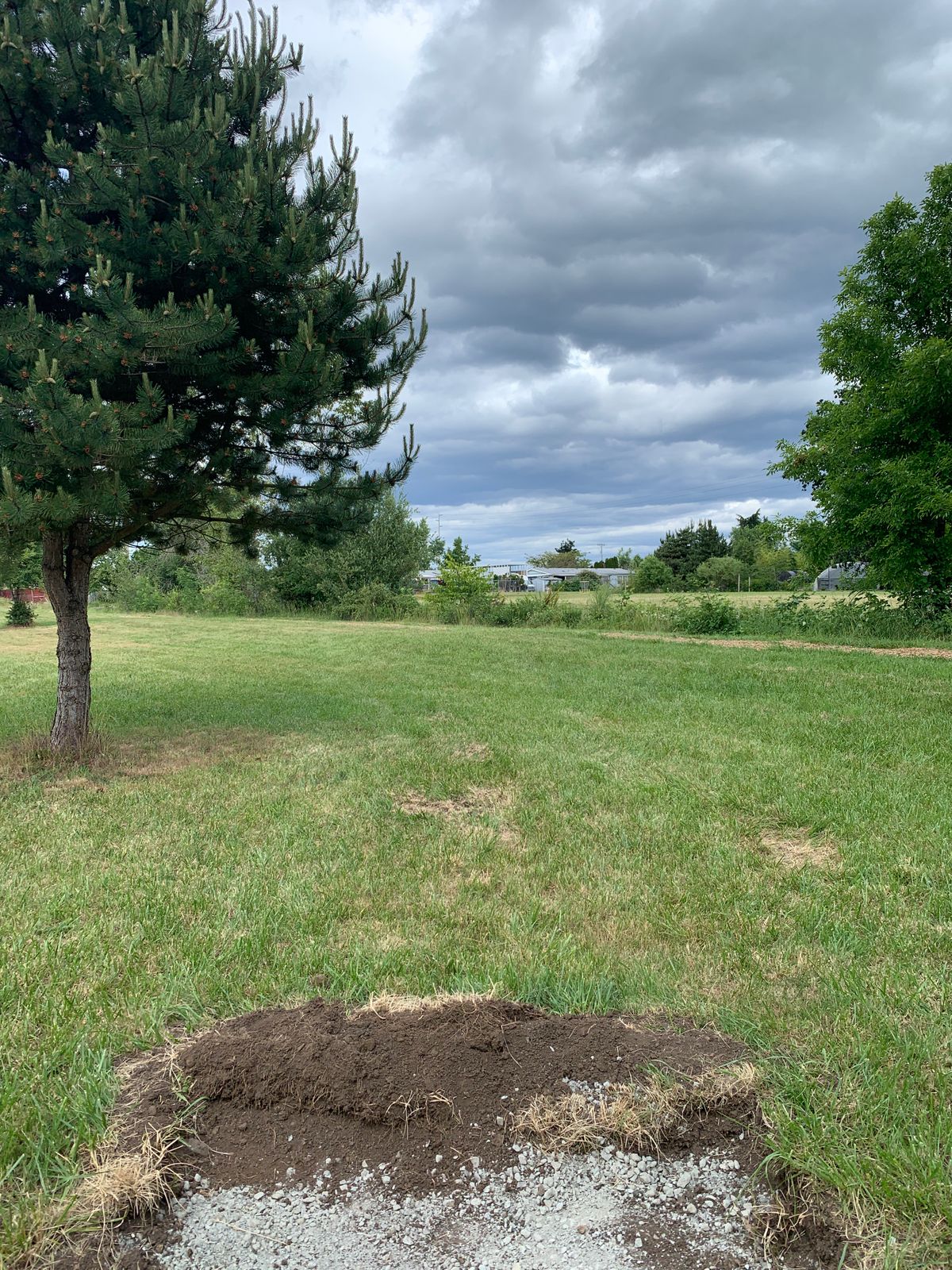 Hole 4 tee. Second-best hole on the course, but still just a wide open hyzer. About 330 feet.