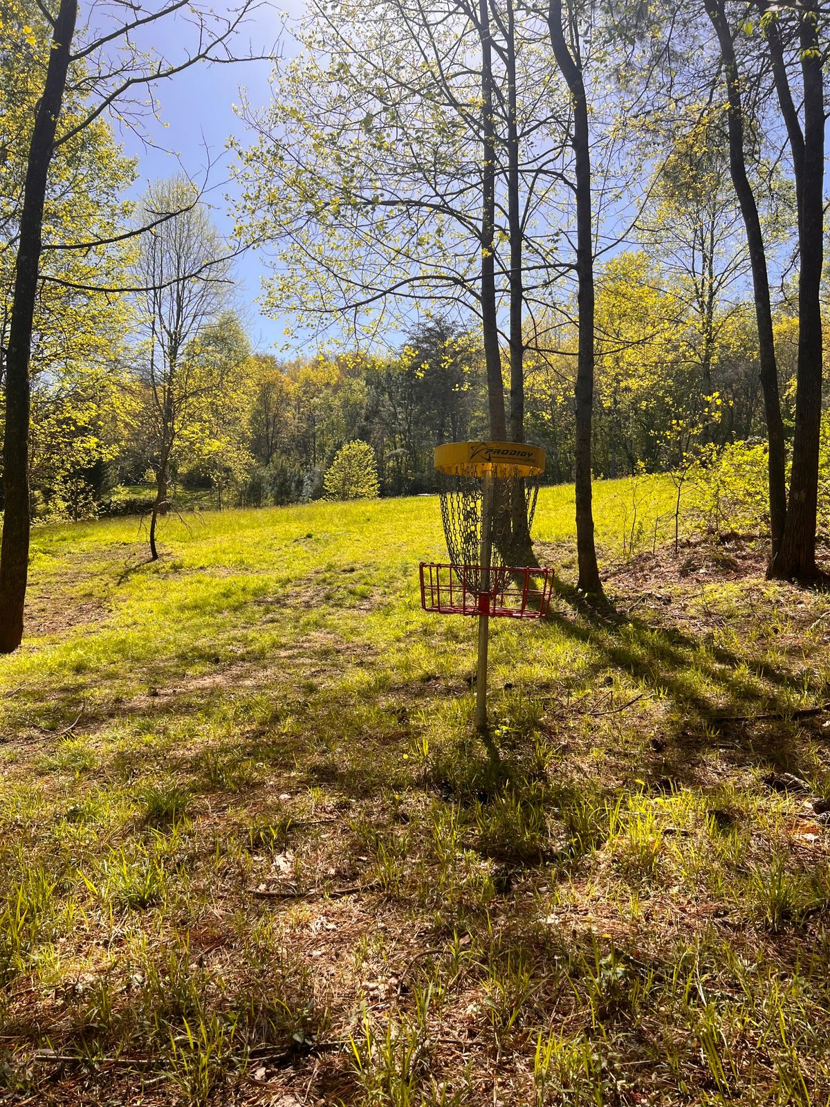 Hole 9 basket