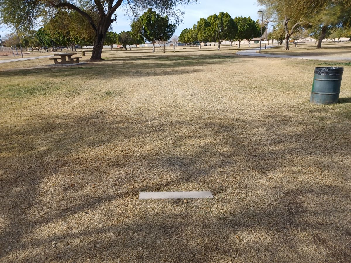 First tee. Basket is in the background.
