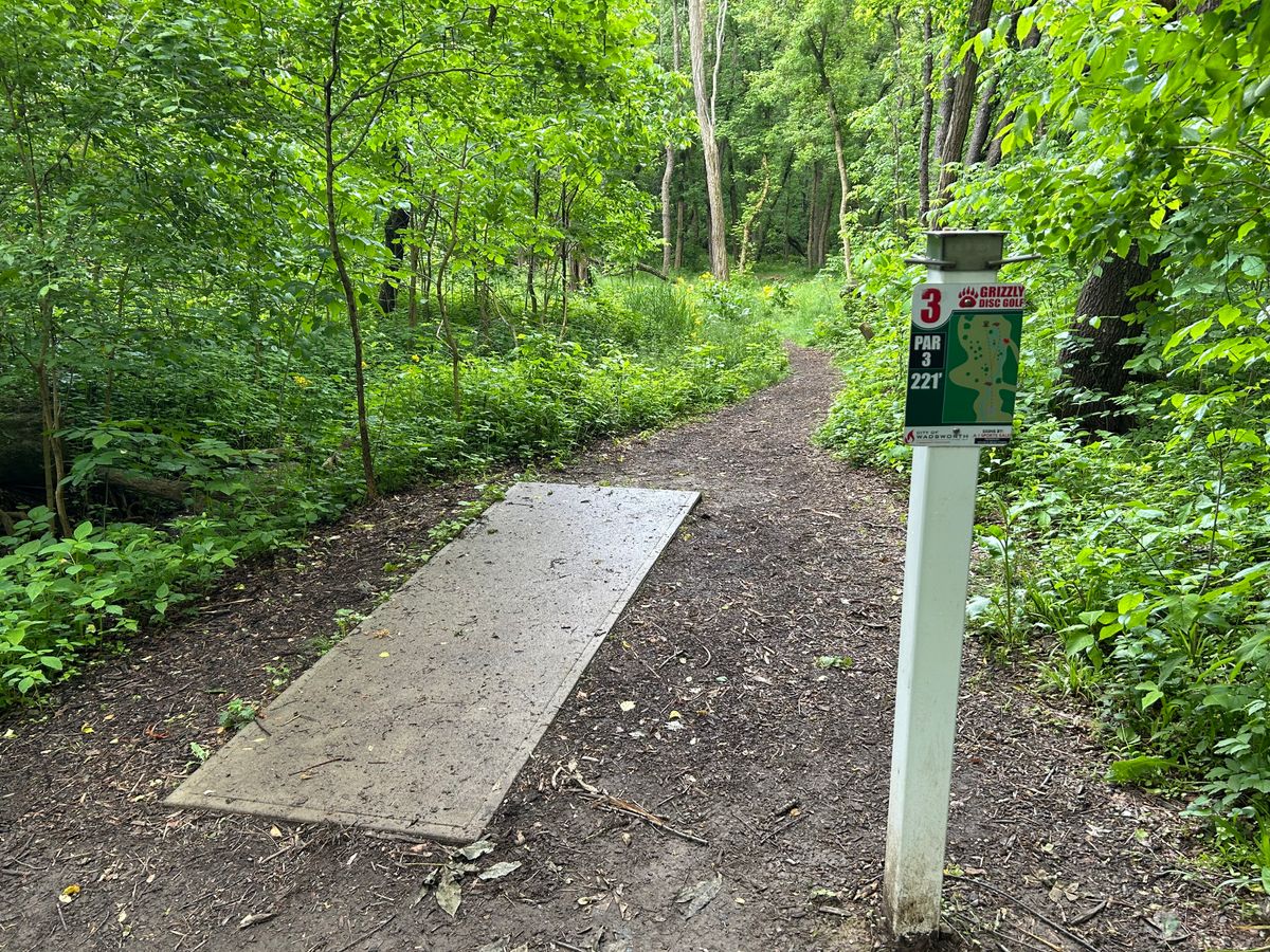 Hole 3 tee