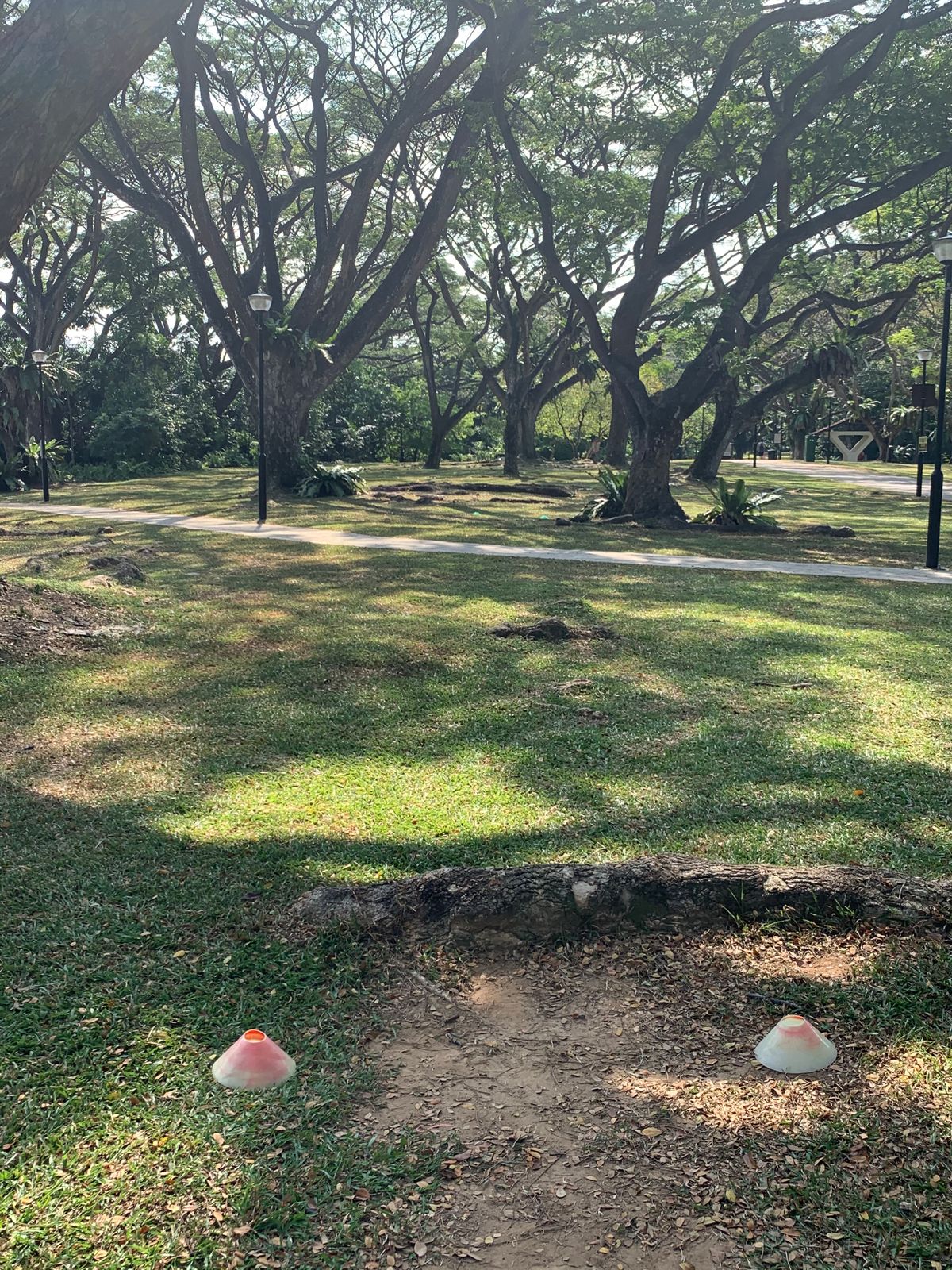 Hole 8 Tee