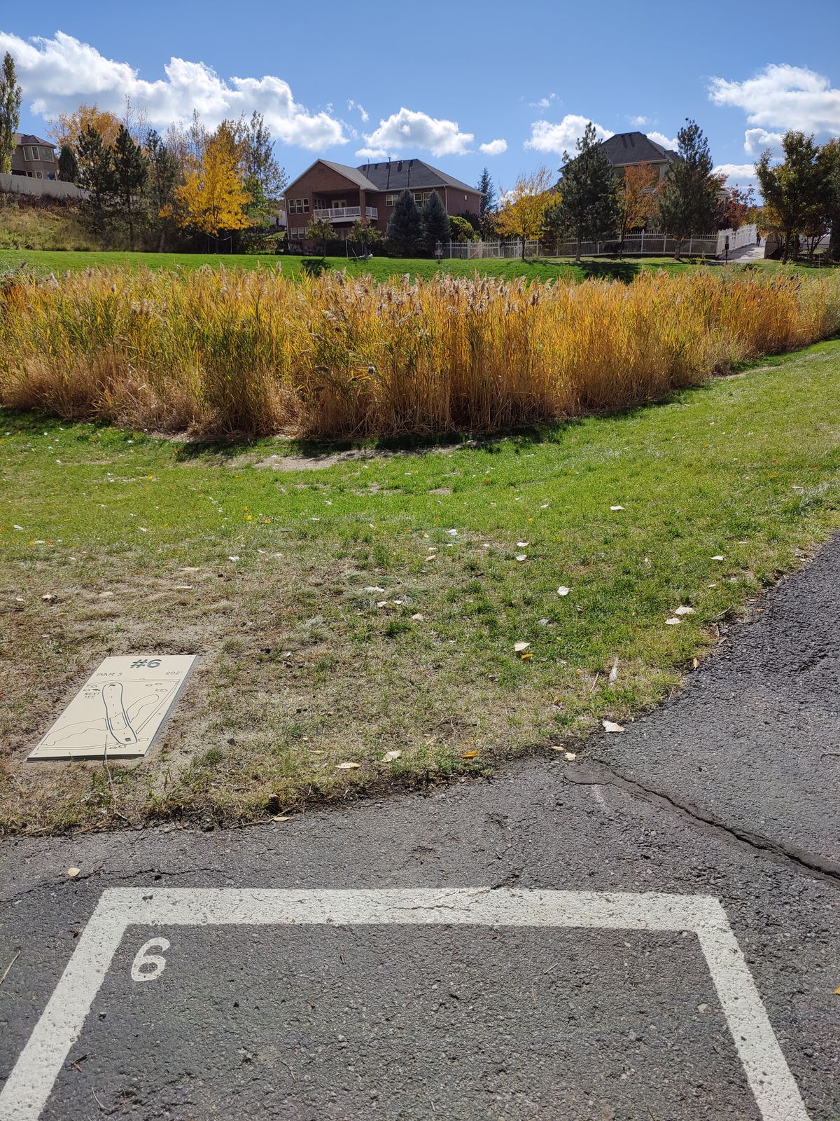 Hole #6 teepad