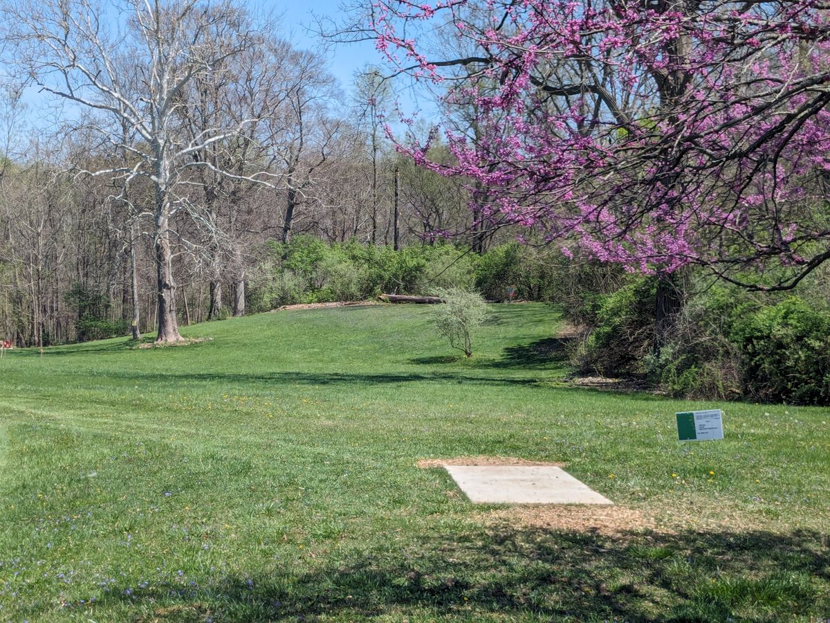 #1 from Tee Pad
