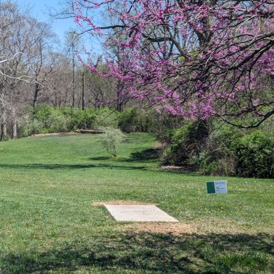 #1 from Tee Pad