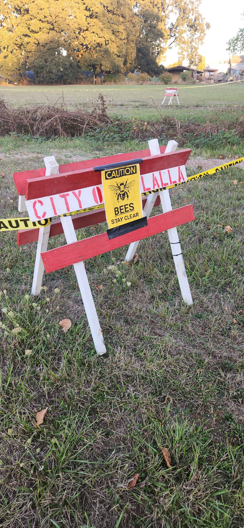 Caution bees, hole closed 09/14/2023