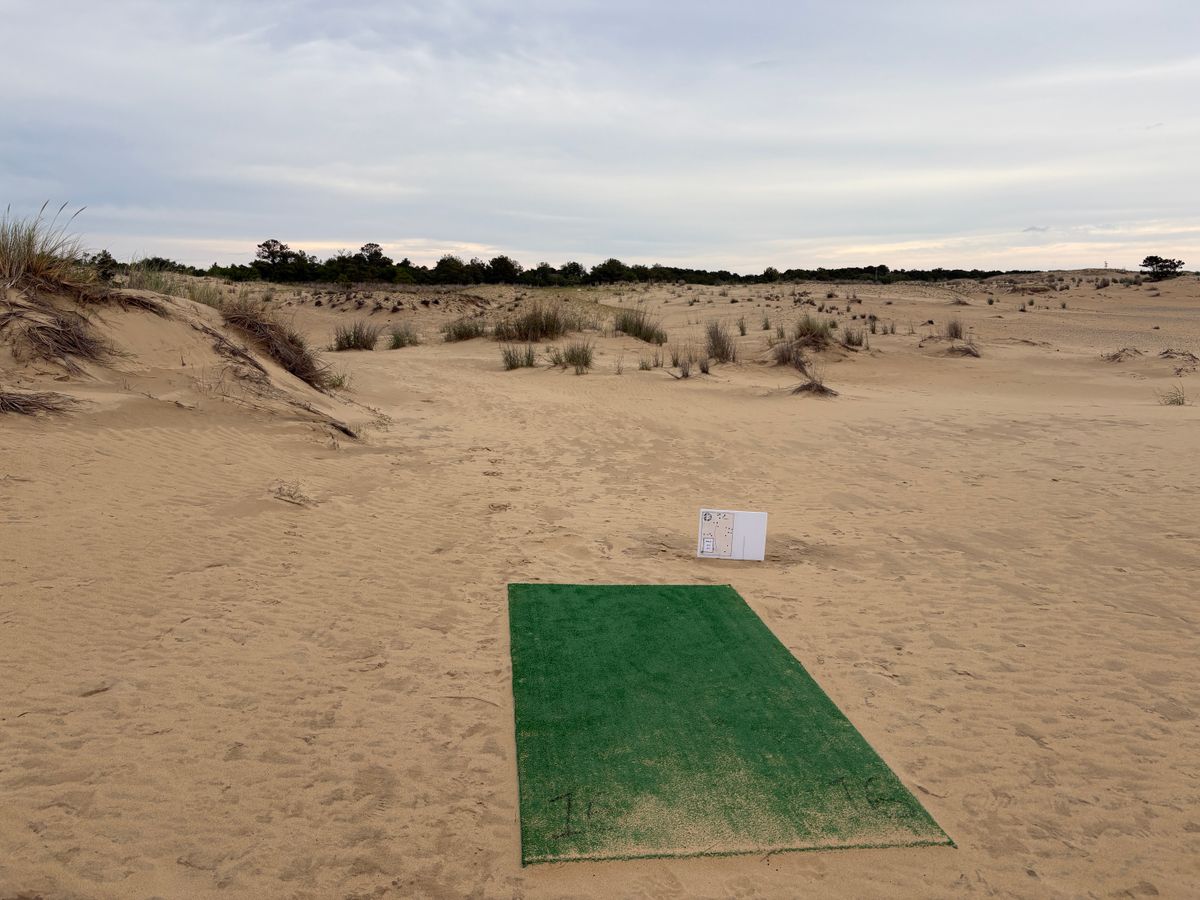 Hole 16 tee