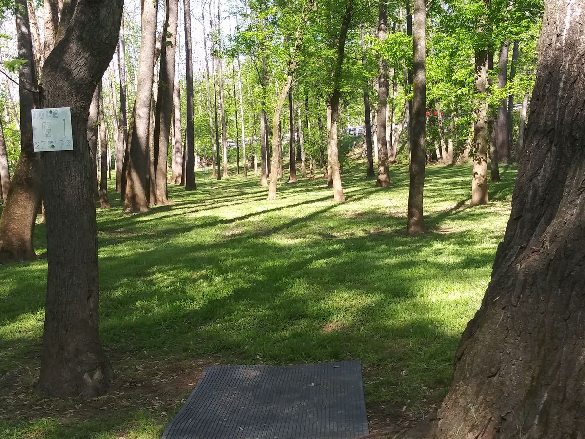 Hole 6 (Alleyway)