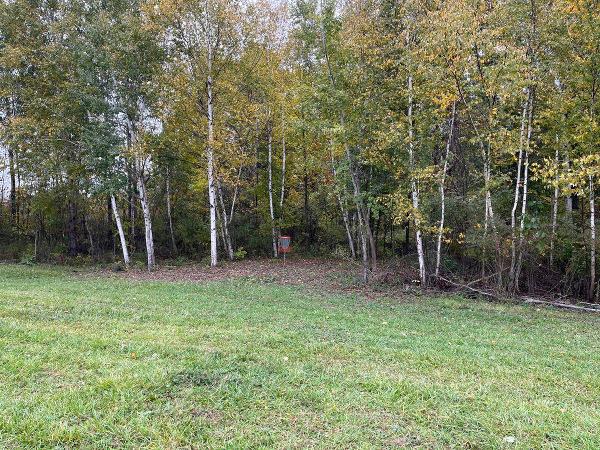 Hole 3 short approach