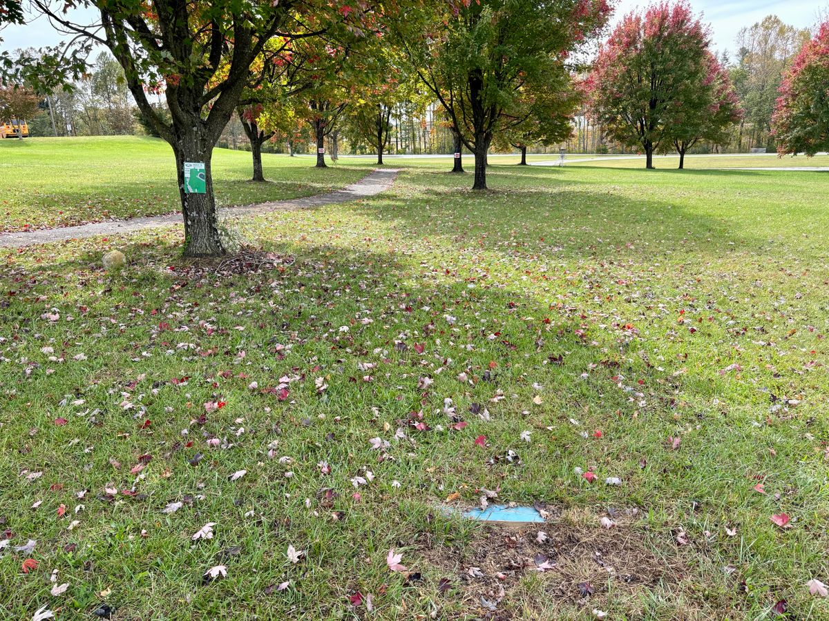 Hole 10 tee