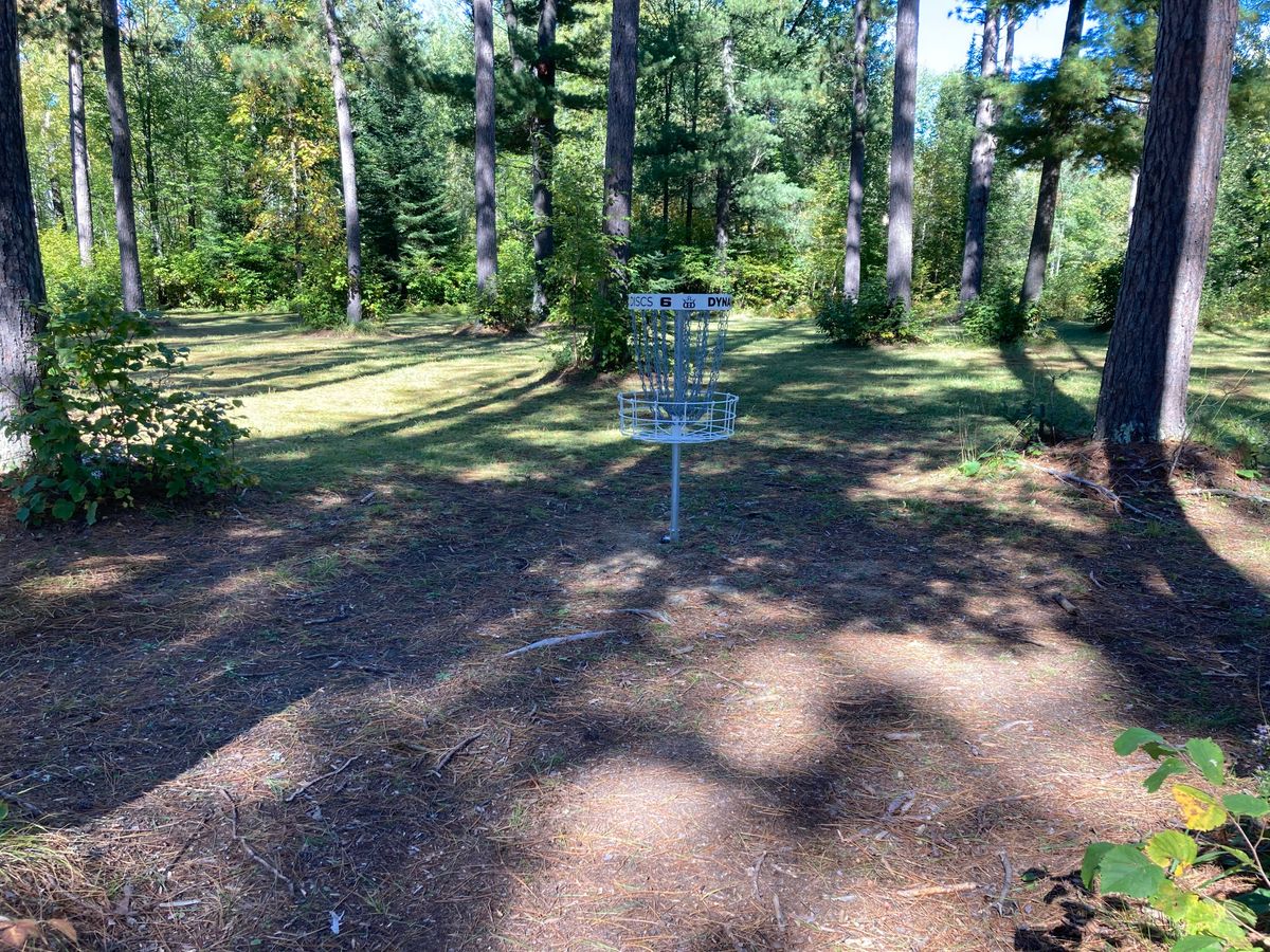 Hole 6 target, surrounded by trees.