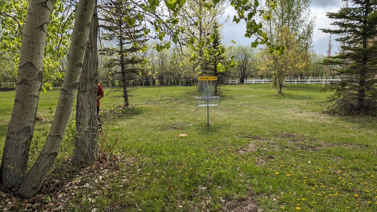 More fun trying to get through guard trees.