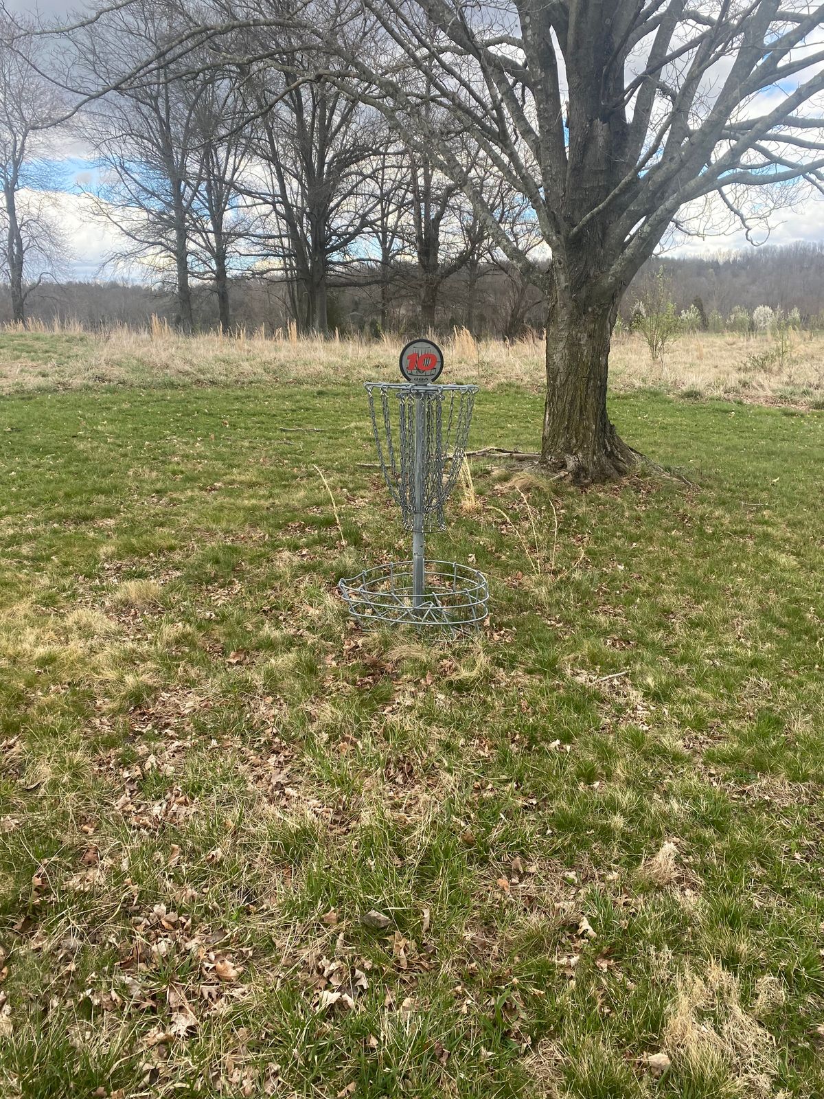 Hole 10 - 1/2 Basket
