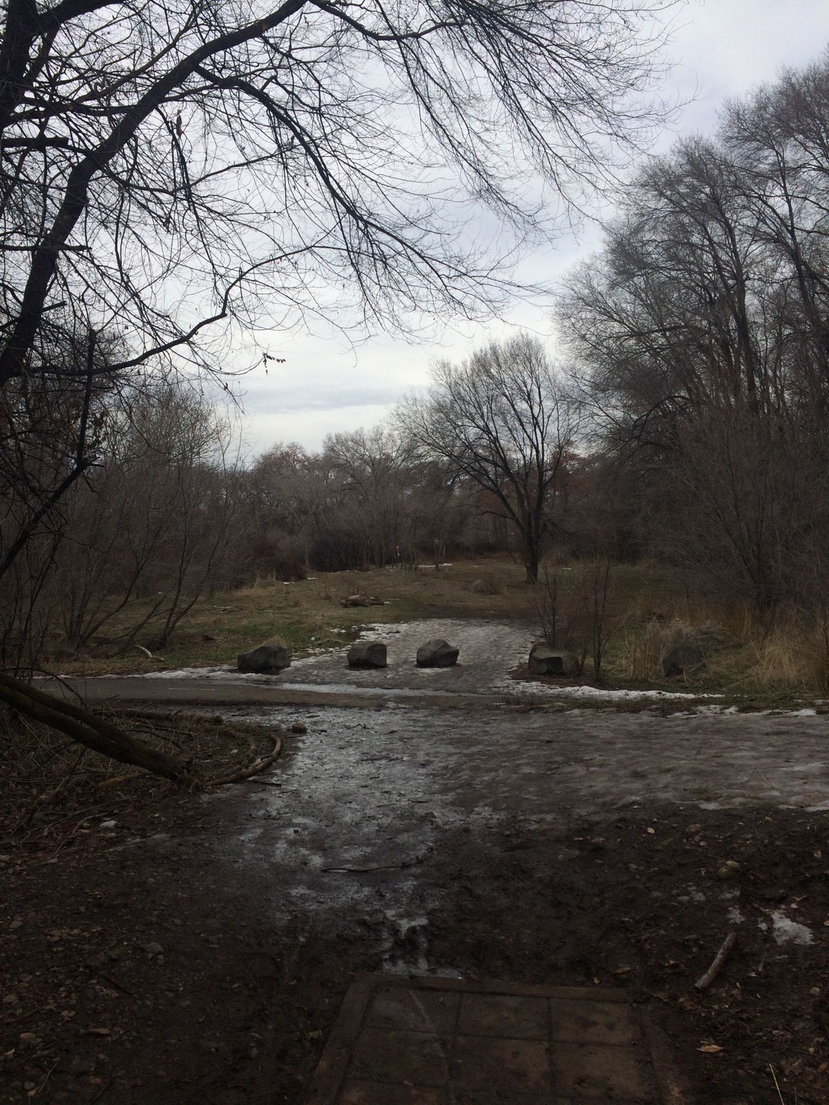Art Dye Disc Golf Park Course Photos