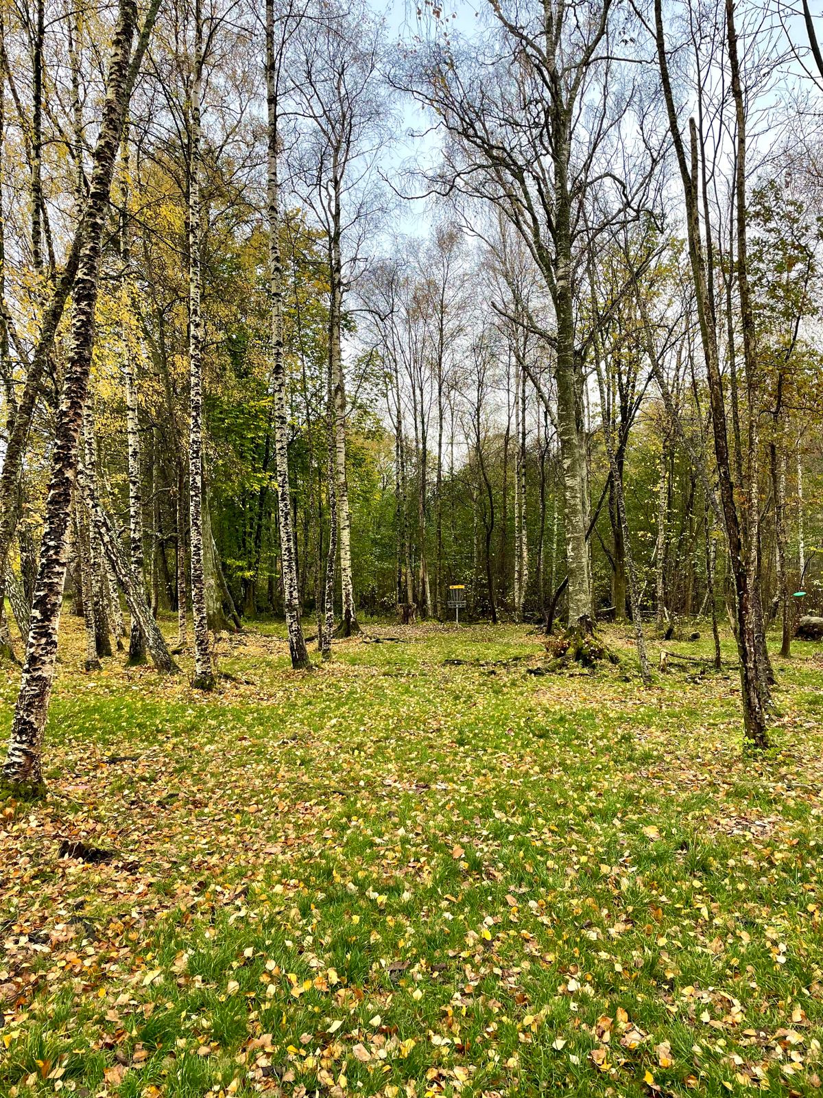 Hål 18