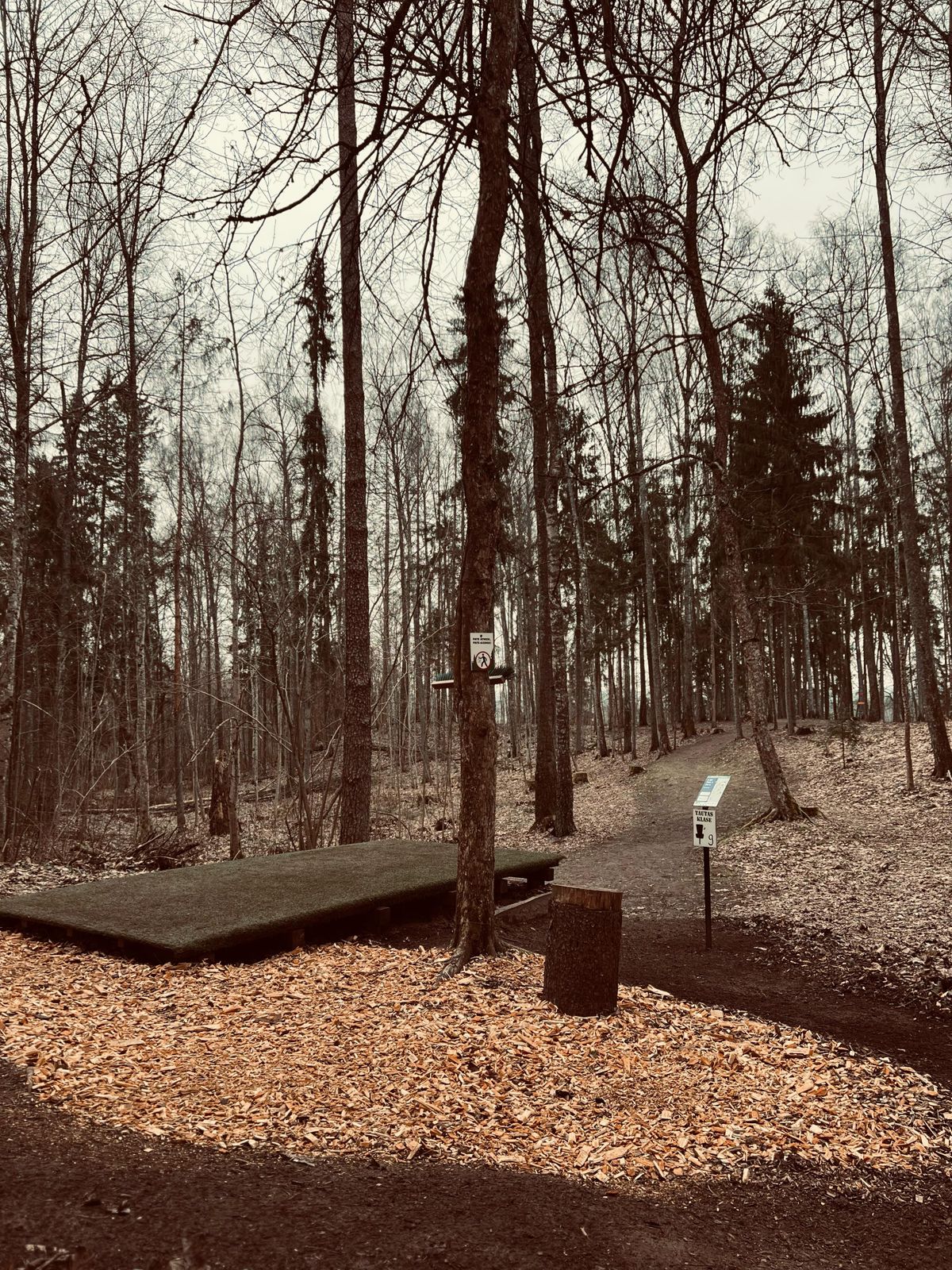 9th tee