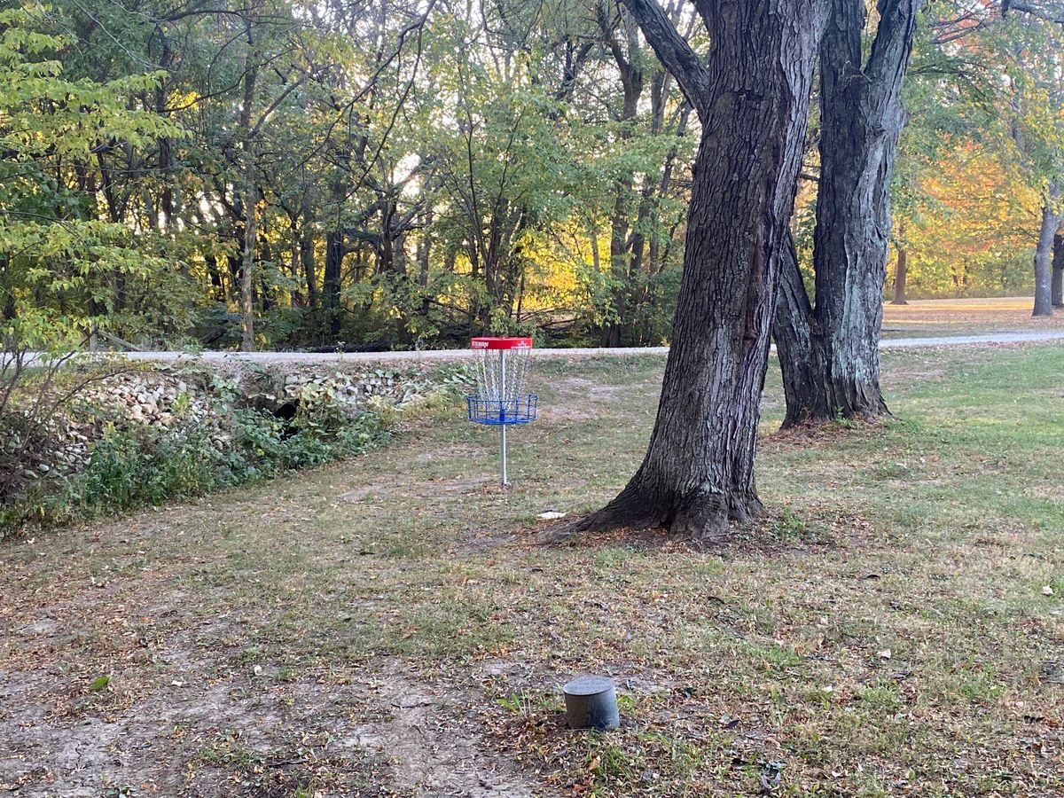 Hole #15 A Basket