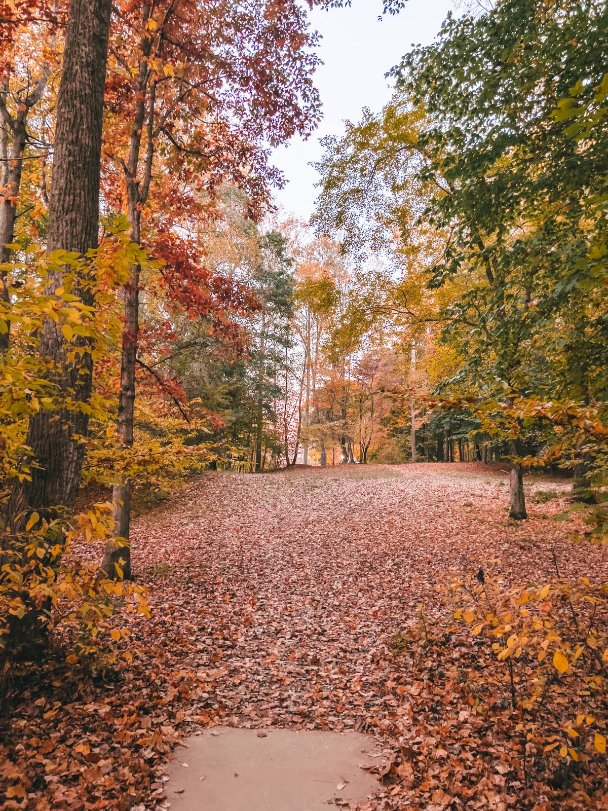 Hole 17