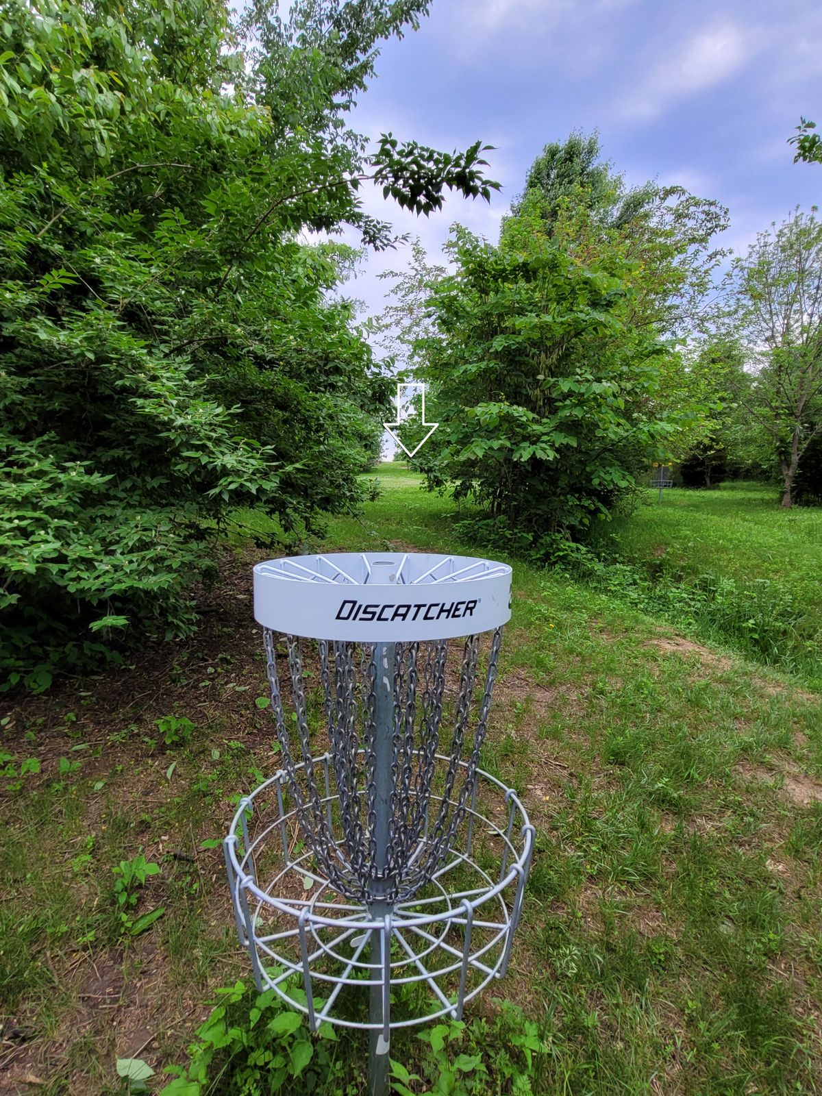 Hole 12 white basket to tee