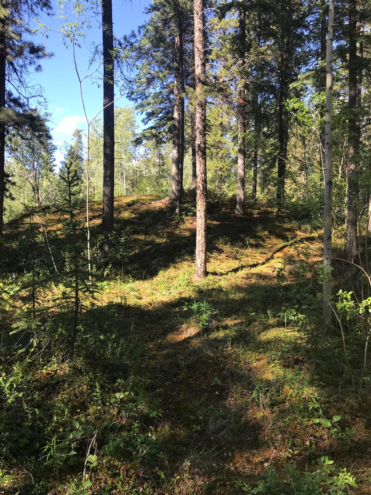 Path to 8 start