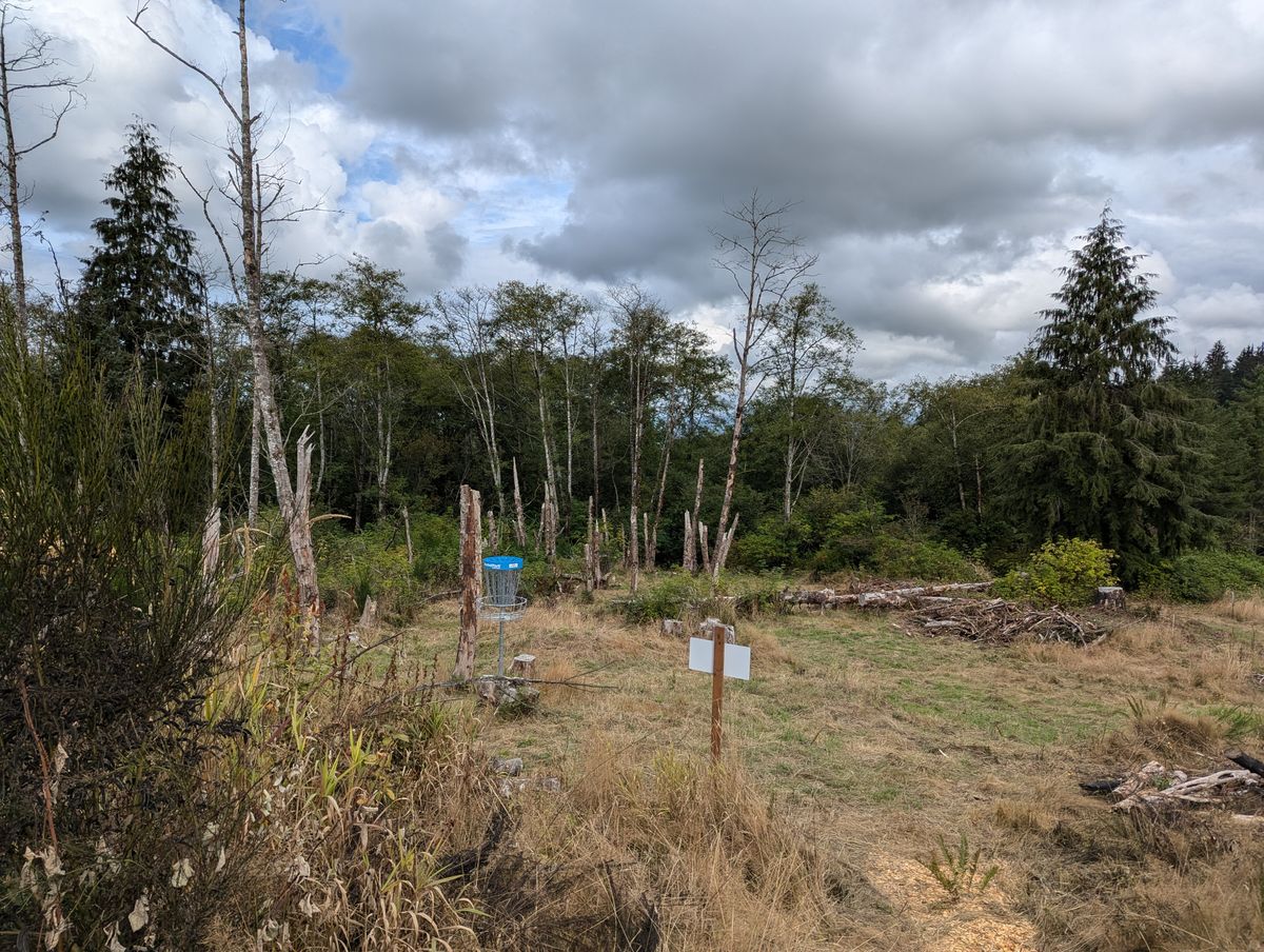 Hole 5's basket, looking towards the tee