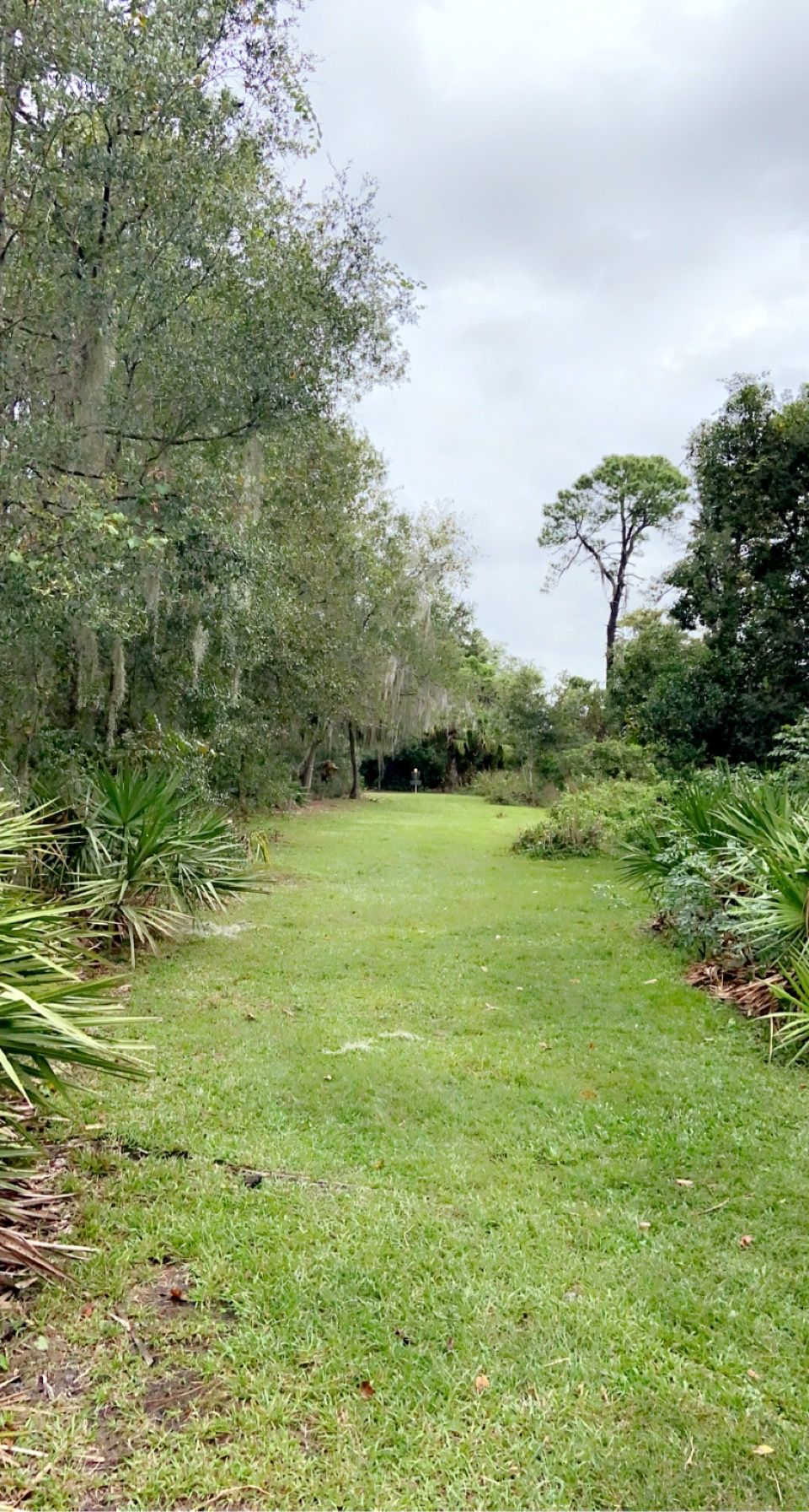 Hole 4