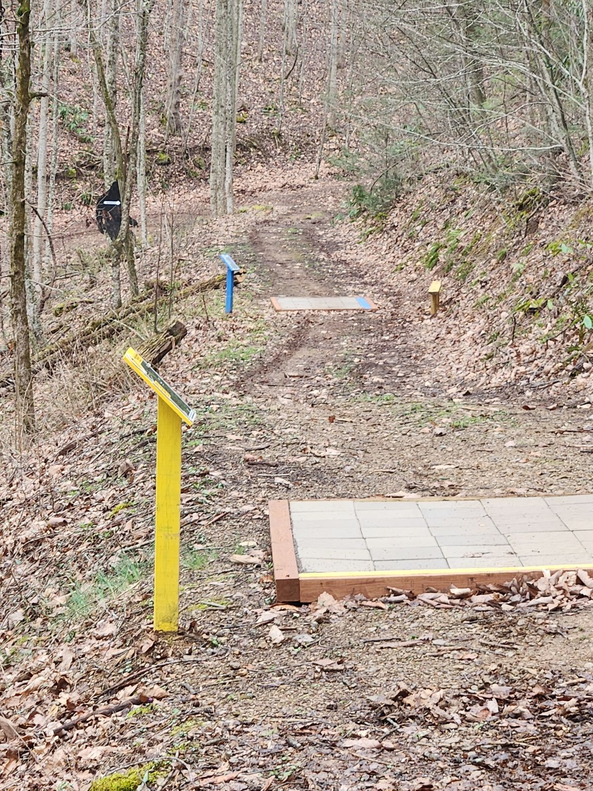 Hole 7.  Blue shoots across ravine. Gold shoots down andxaround corner